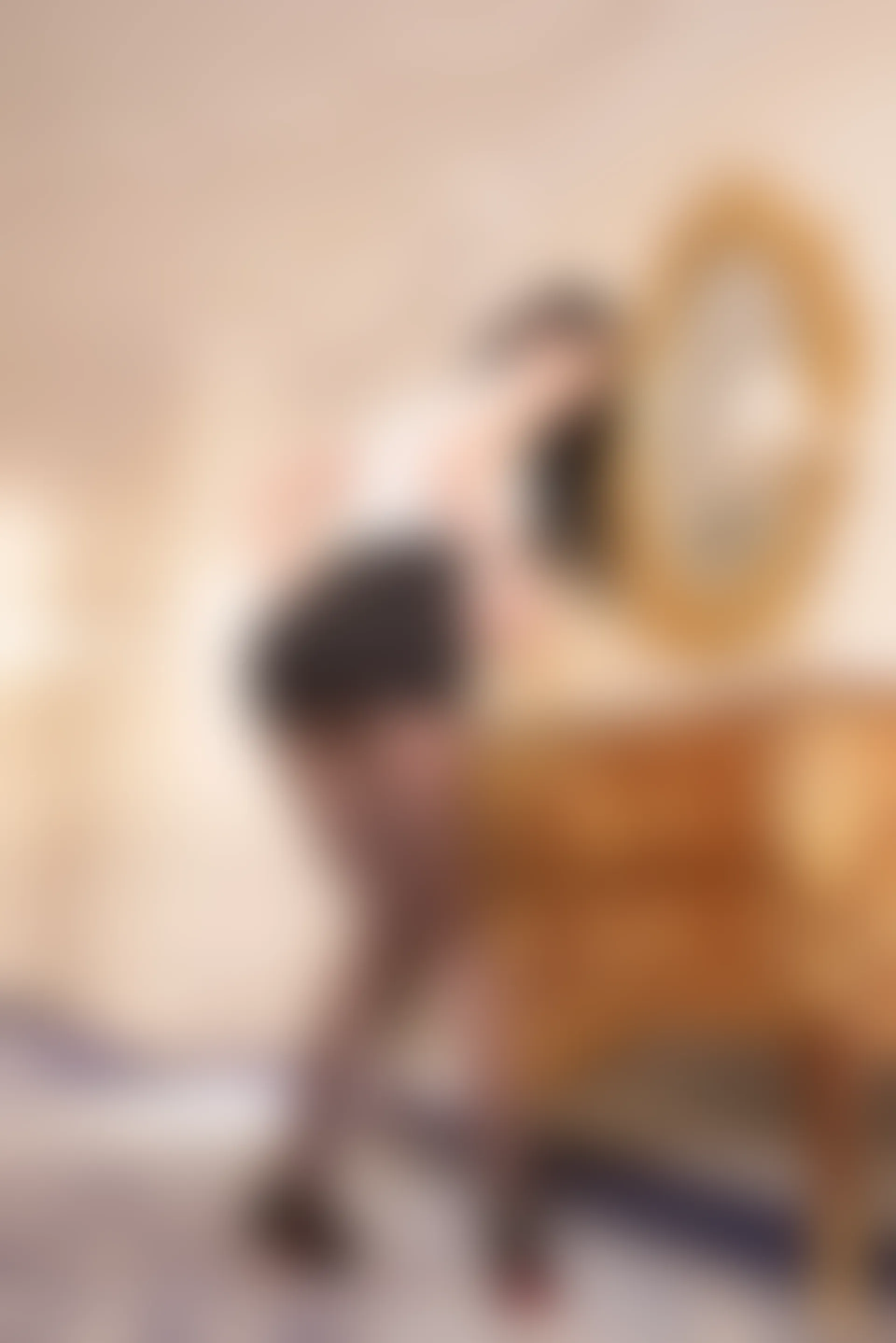 XiuRen秀人网 2021.10.25 No.4107 李雅柔182CM[36+1P／380MB]