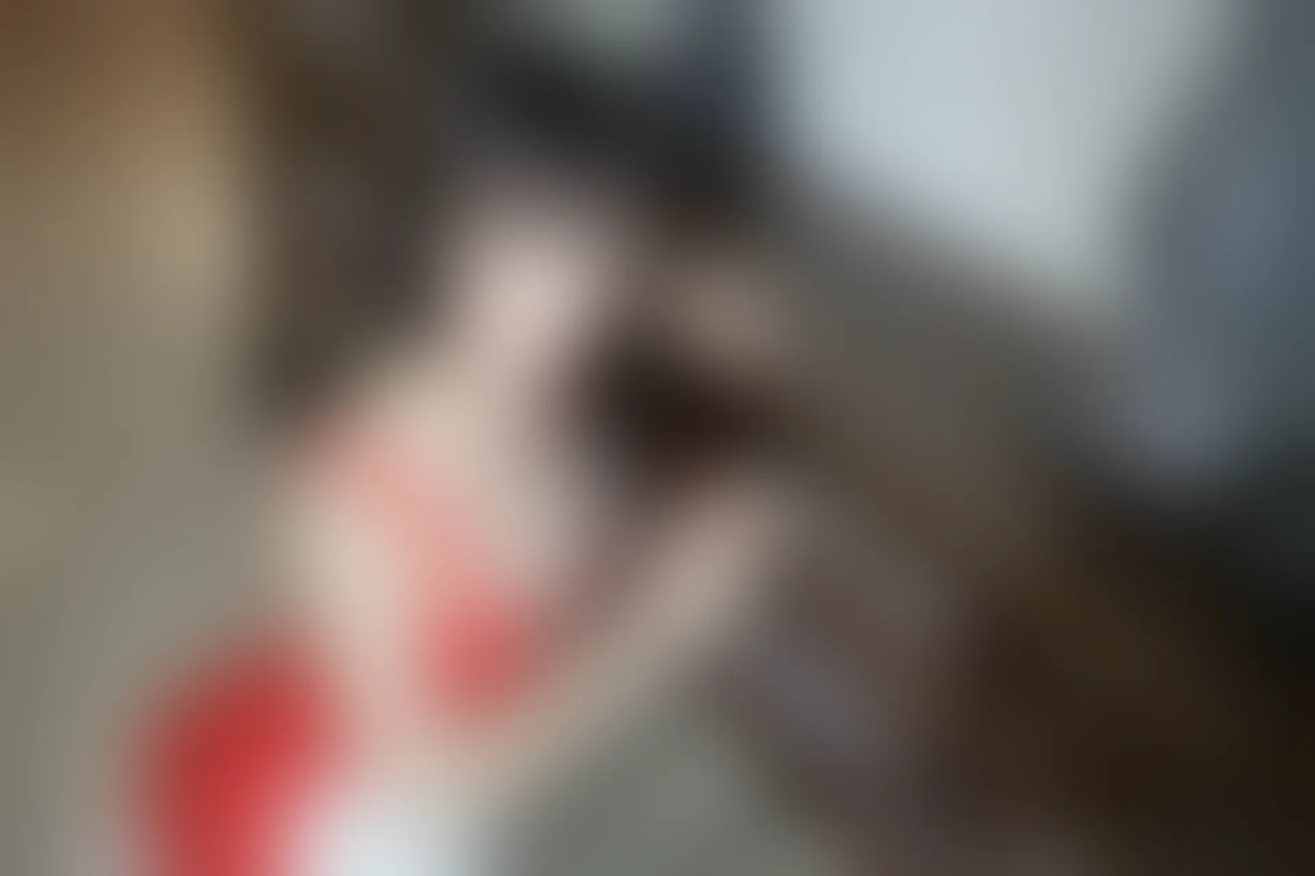 XiuRen秀人网 2016.12.23 No.665 Evelyn艾莉 [40P-115M]