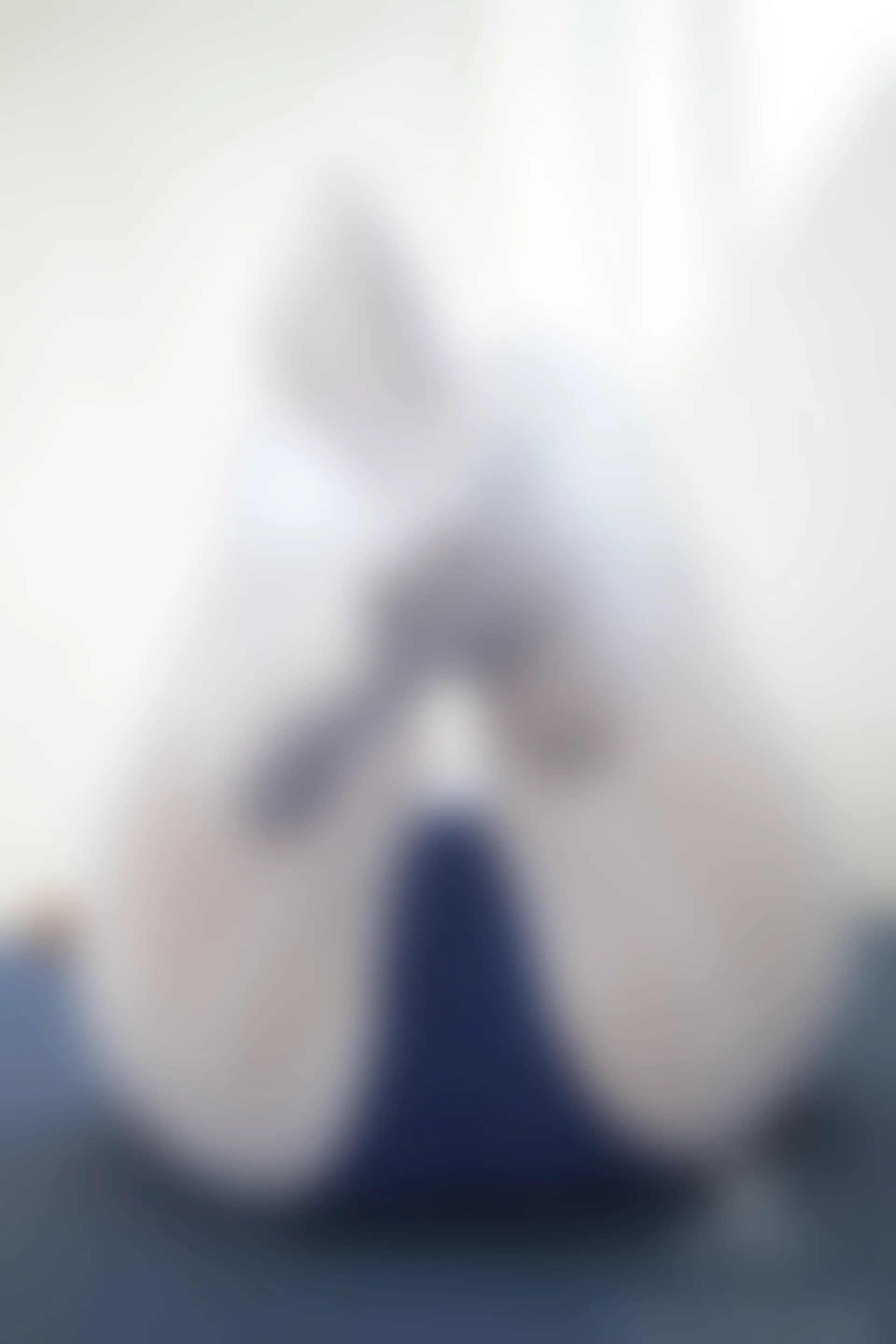 紧急企划 VOL.004 [69P1V-467M] 一只喵喵梓一只喵喵梓, 体操服, 双马尾, 可爱, 死库水, 白丝, 紧急企划, 美腿, 美足, 蕾丝