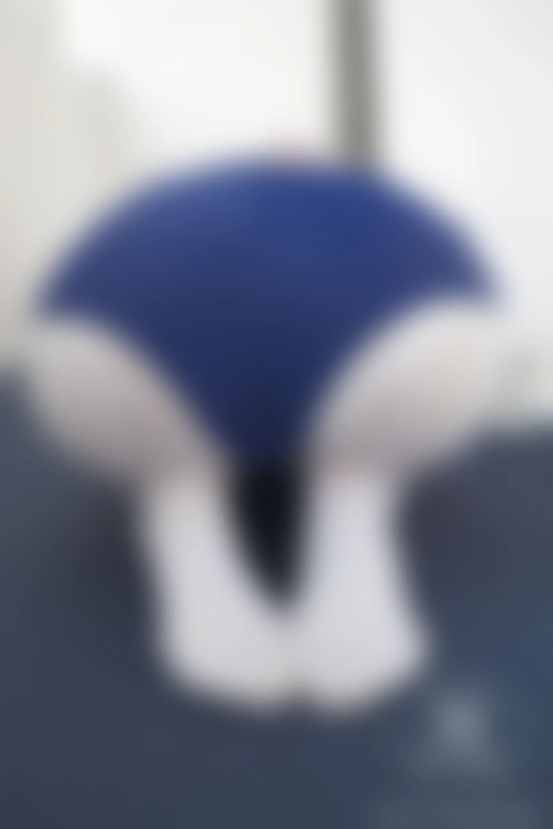 紧急企划 VOL.004 [69P1V-467M] 一只喵喵梓一只喵喵梓, 体操服, 双马尾, 可爱, 死库水, 白丝, 紧急企划, 美腿, 美足, 蕾丝