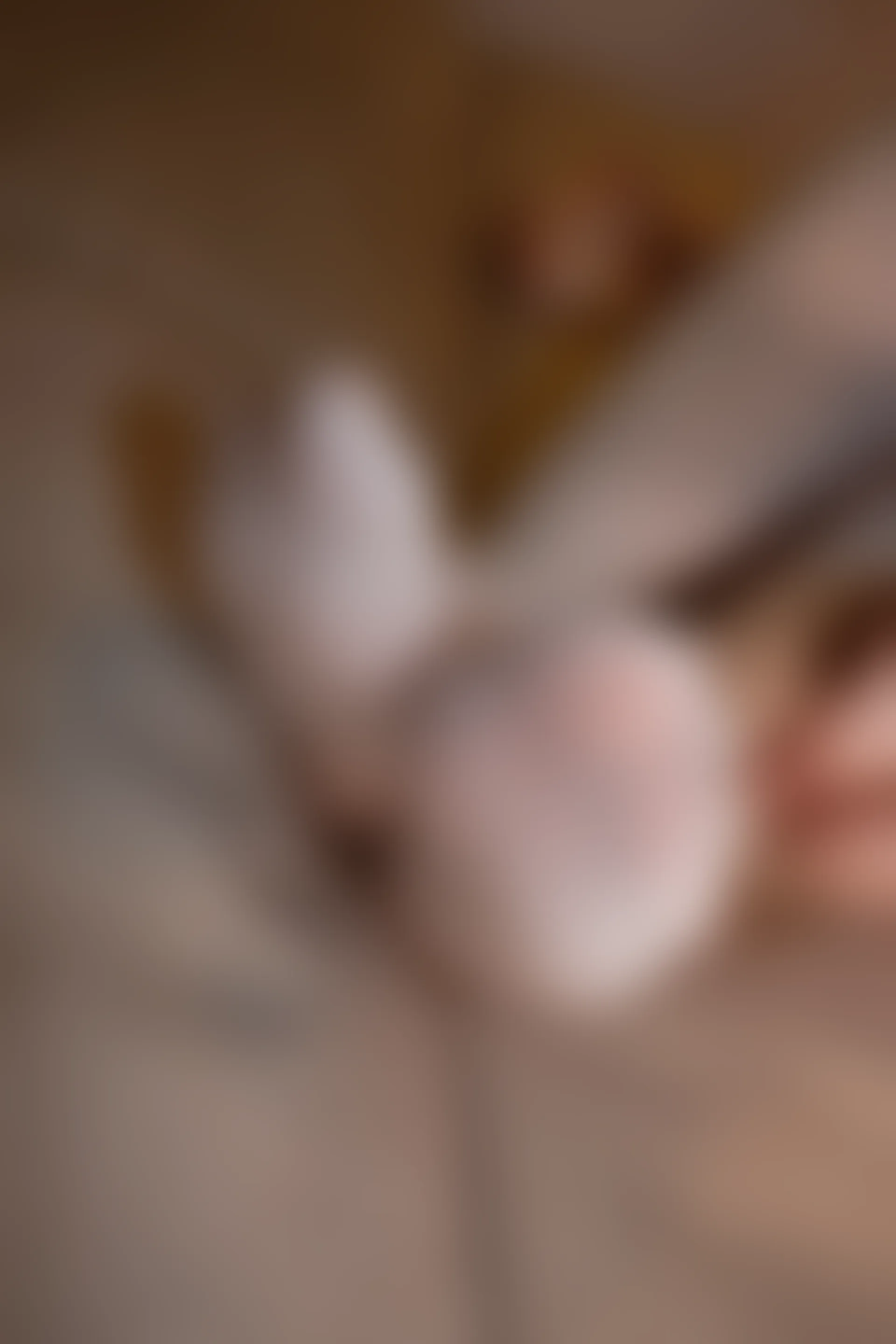 爱花写真 ALPHA-014 [76P-814M]可爱, 森萝财团, 爱花写真, 白丝, 美腿, 美足