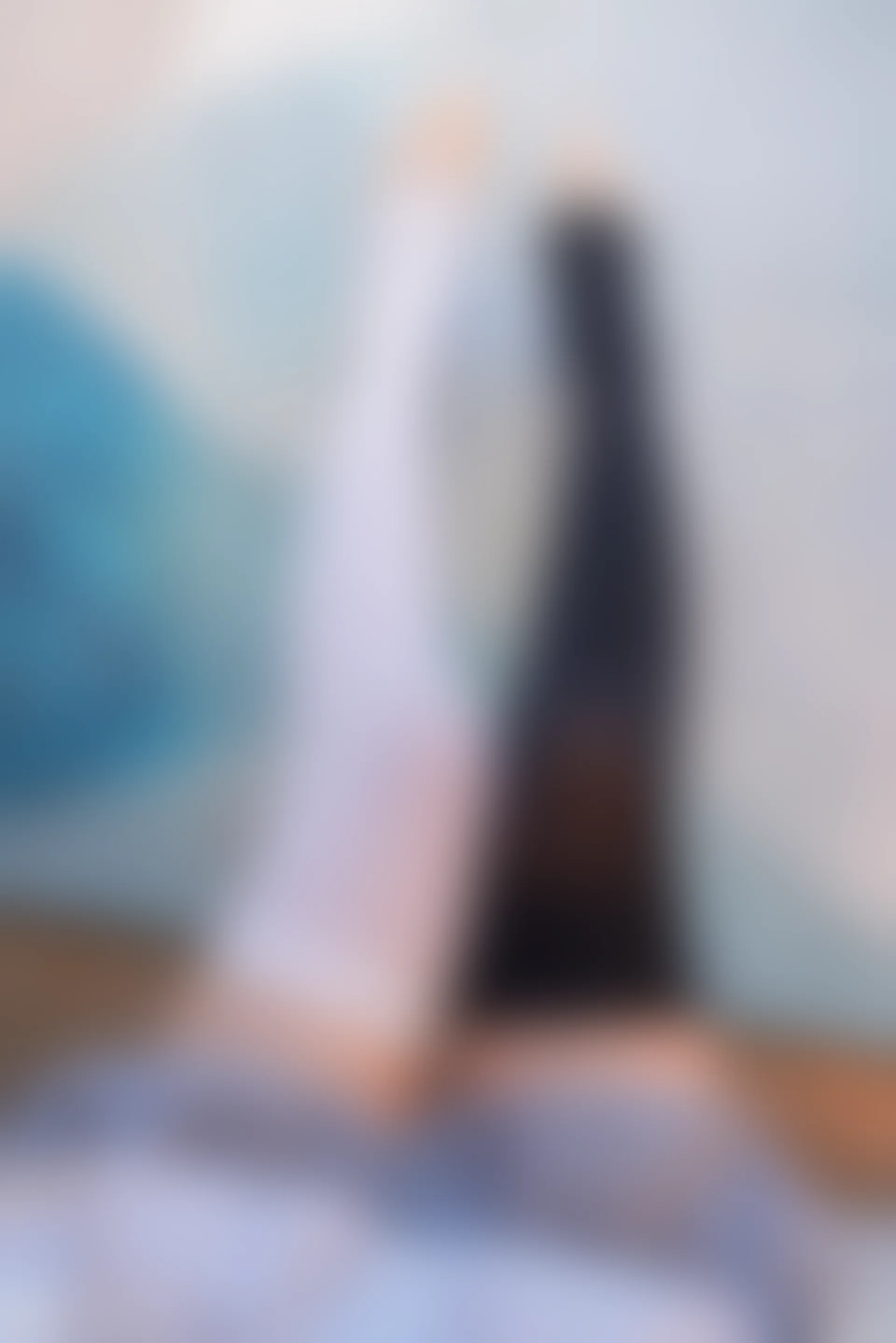 C15.003 黑白女仆装 [43P-245MB]