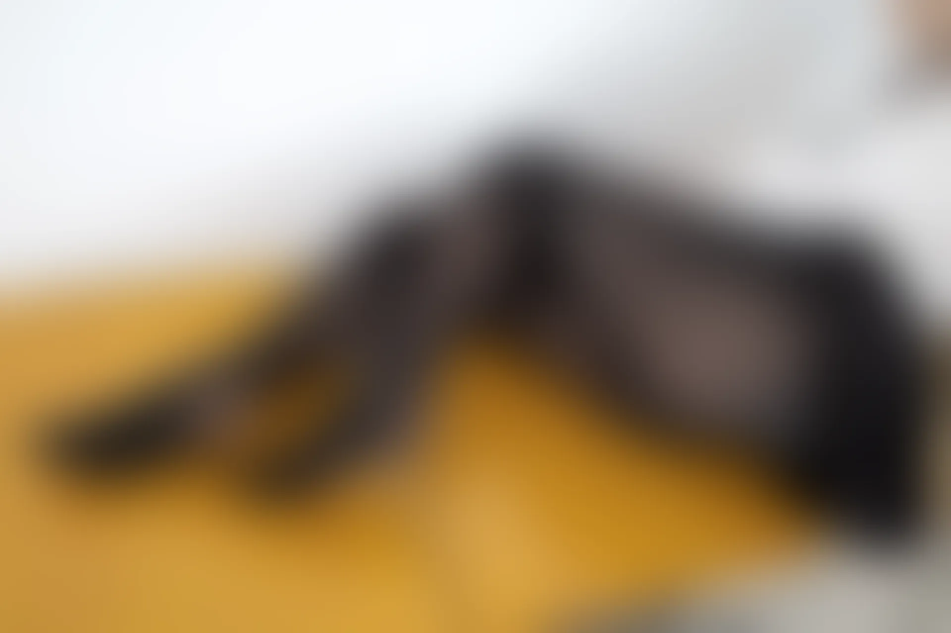 森萝财团 内部-005 黑丝学院风背带裙 [113P1V-3.61GB]