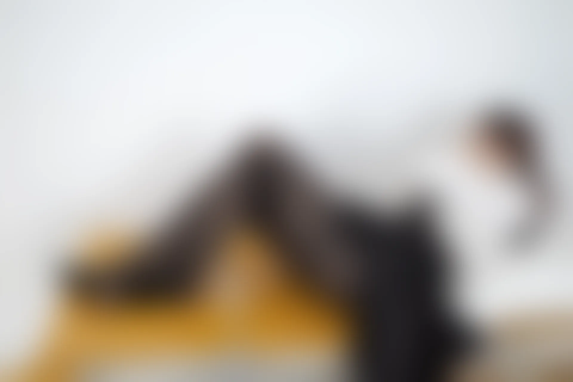 森萝财团 内部-005 黑丝学院风背带裙 [113P1V-3.61GB]