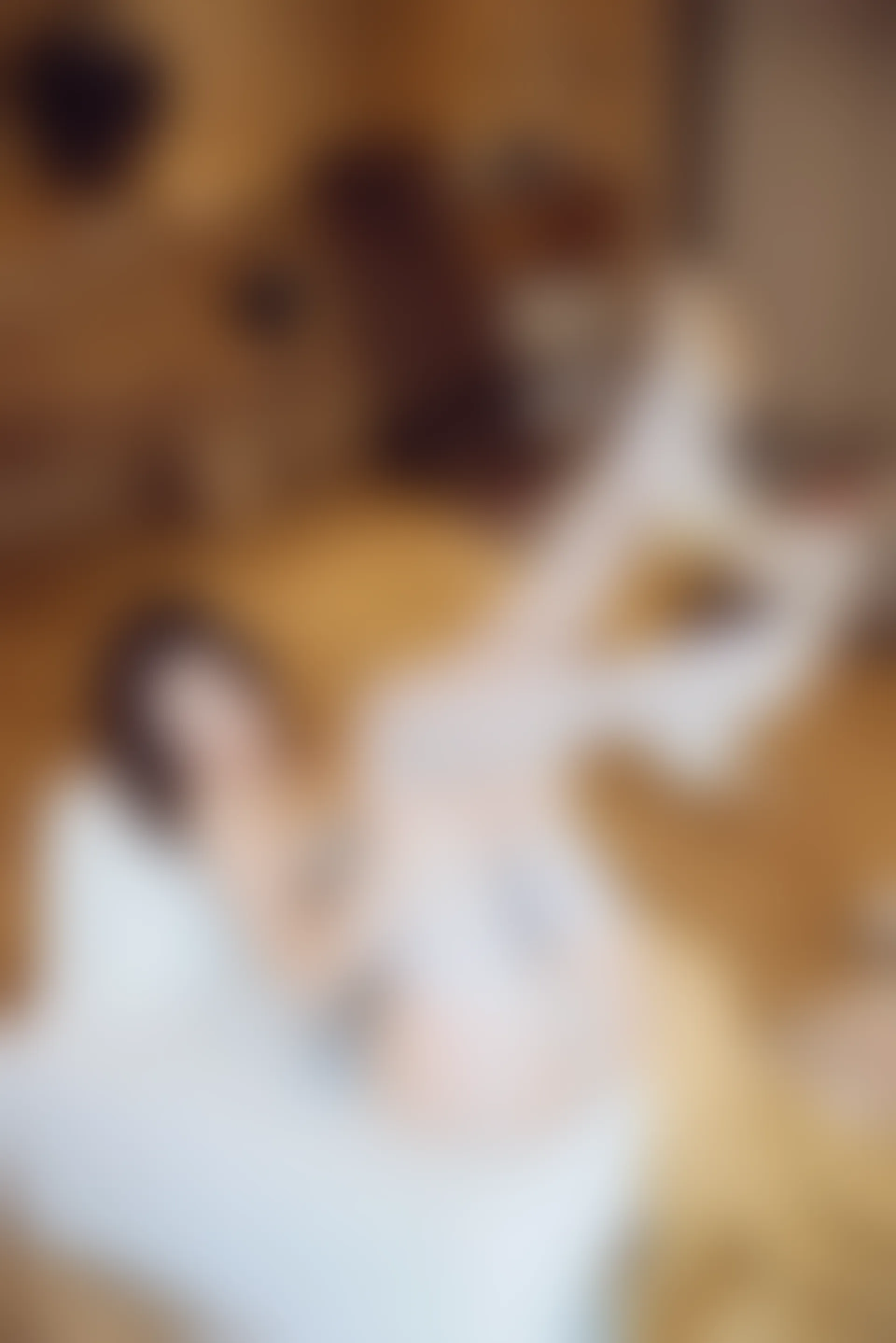 XiuRen秀人网 2021.10.29 No.4141 绮里嘉ula[51+1P／496MB]