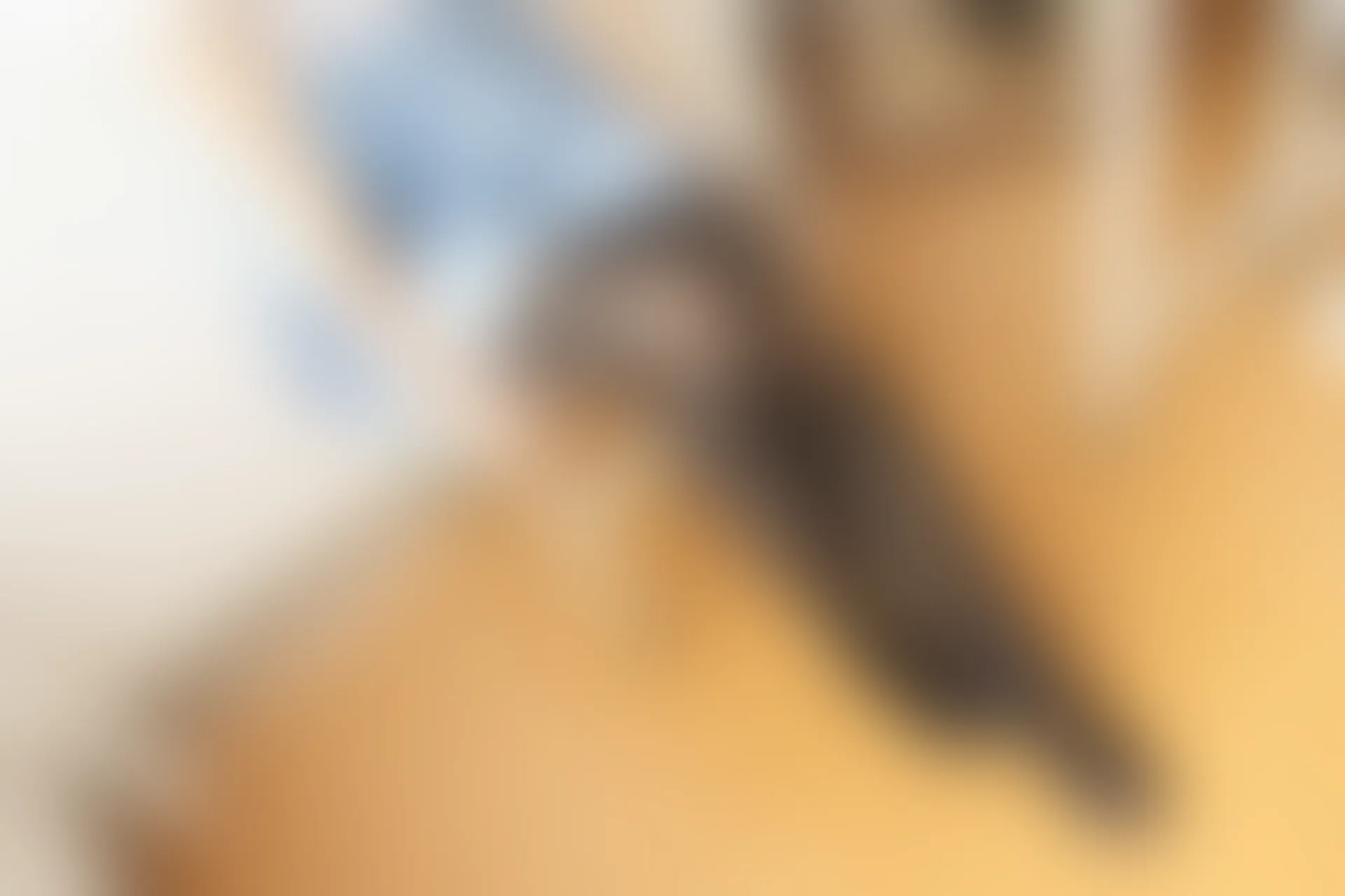 森萝财团 BETA-027 [126P-994M]美腿, 黑丝