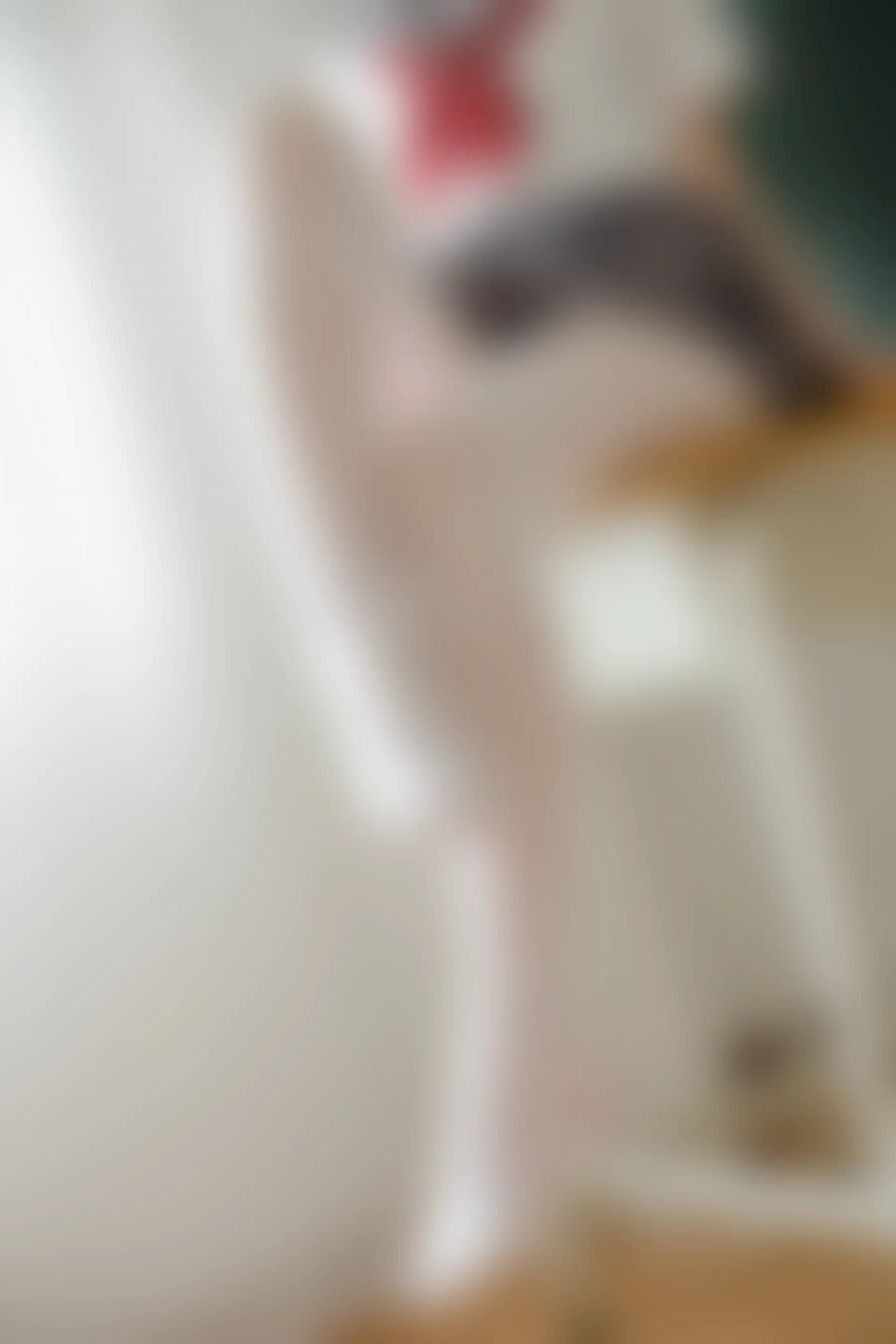 森萝财团 X-025 [131P1V-2.2G]制服, 学生装, 校服, 森萝财团, 白丝, 美腿