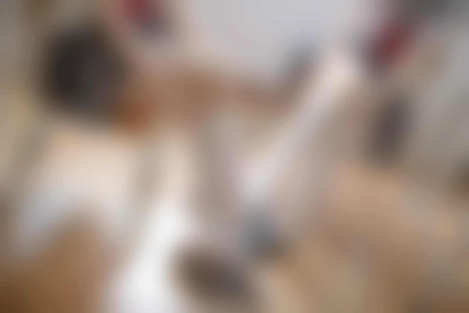 森萝财团 X-025 [131P1V-2.2G]制服, 学生装, 校服, 森萝财团, 白丝, 美腿