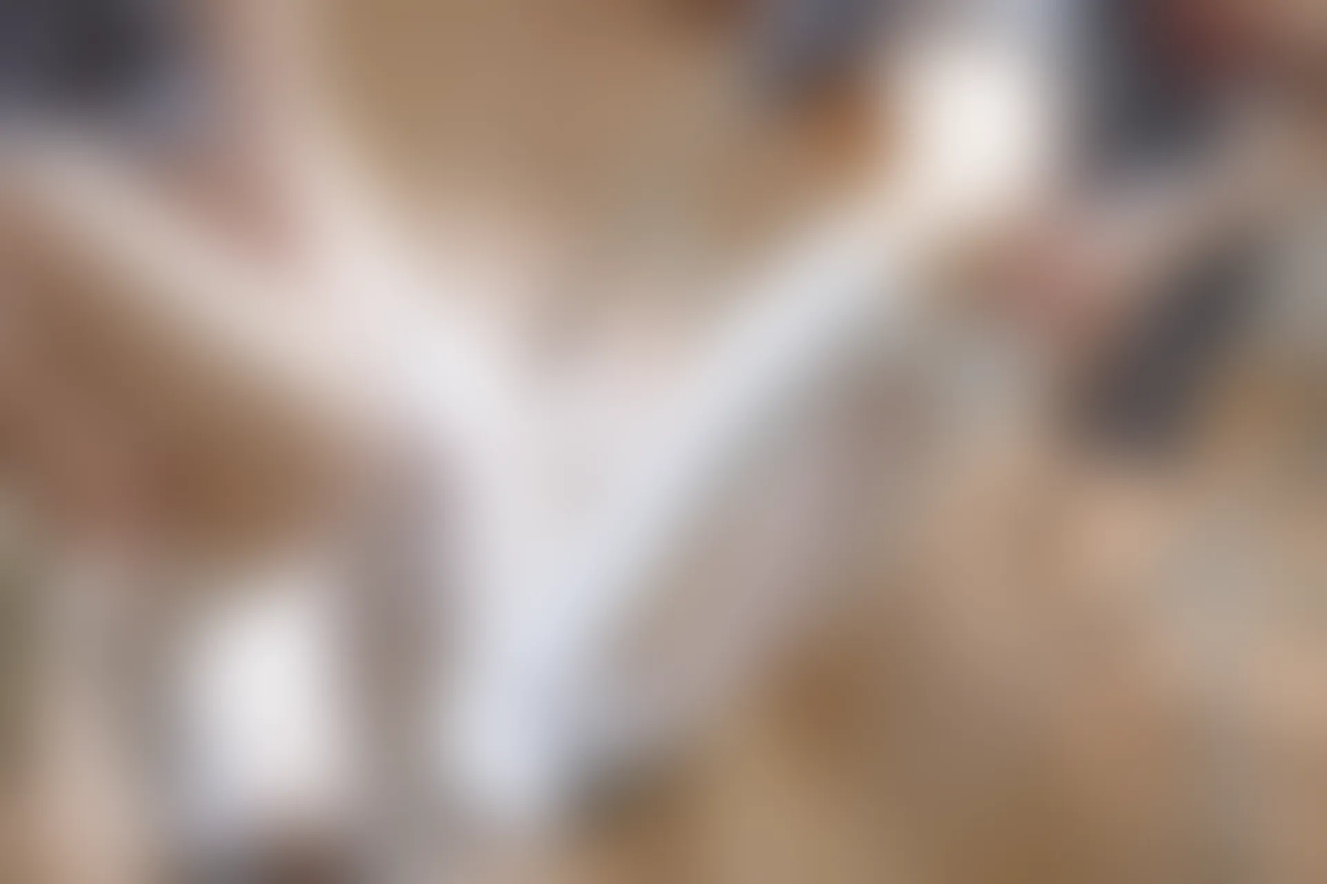 森萝财团 X-025 [131P1V-2.2G]制服, 学生装, 校服, 森萝财团, 白丝, 美腿