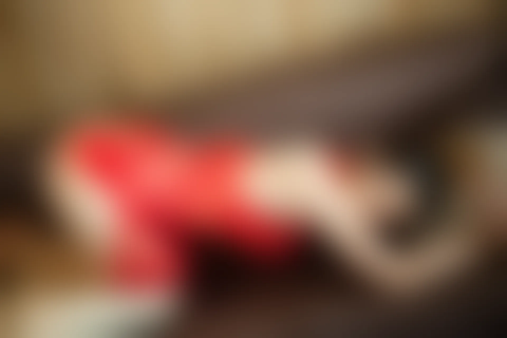 XiuRen秀人网 2014.01.30 No.095 luvian本能70P238MB