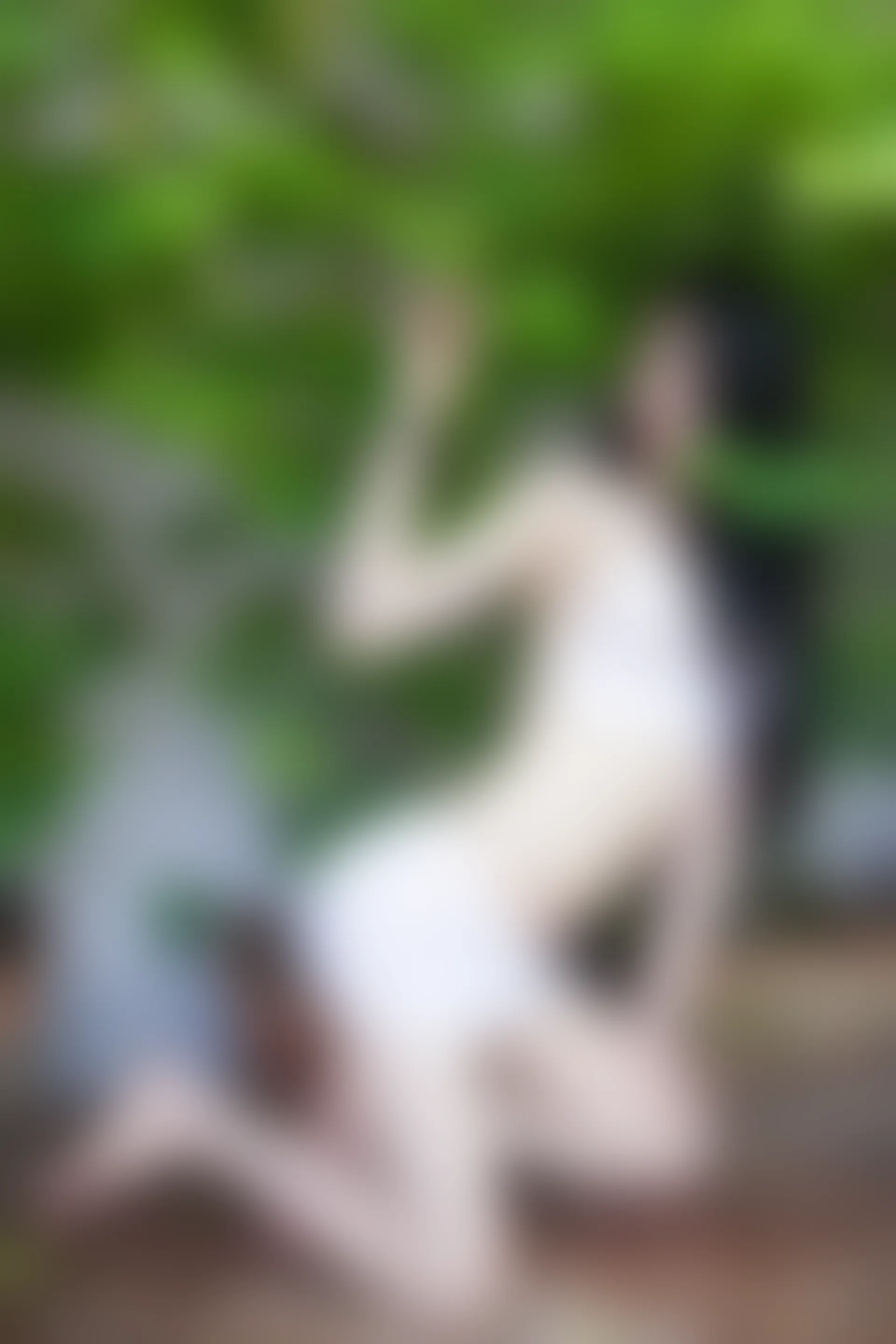 XiuRen秀人网 2014.06.04 No.151 南湘baby[45+1P107M]