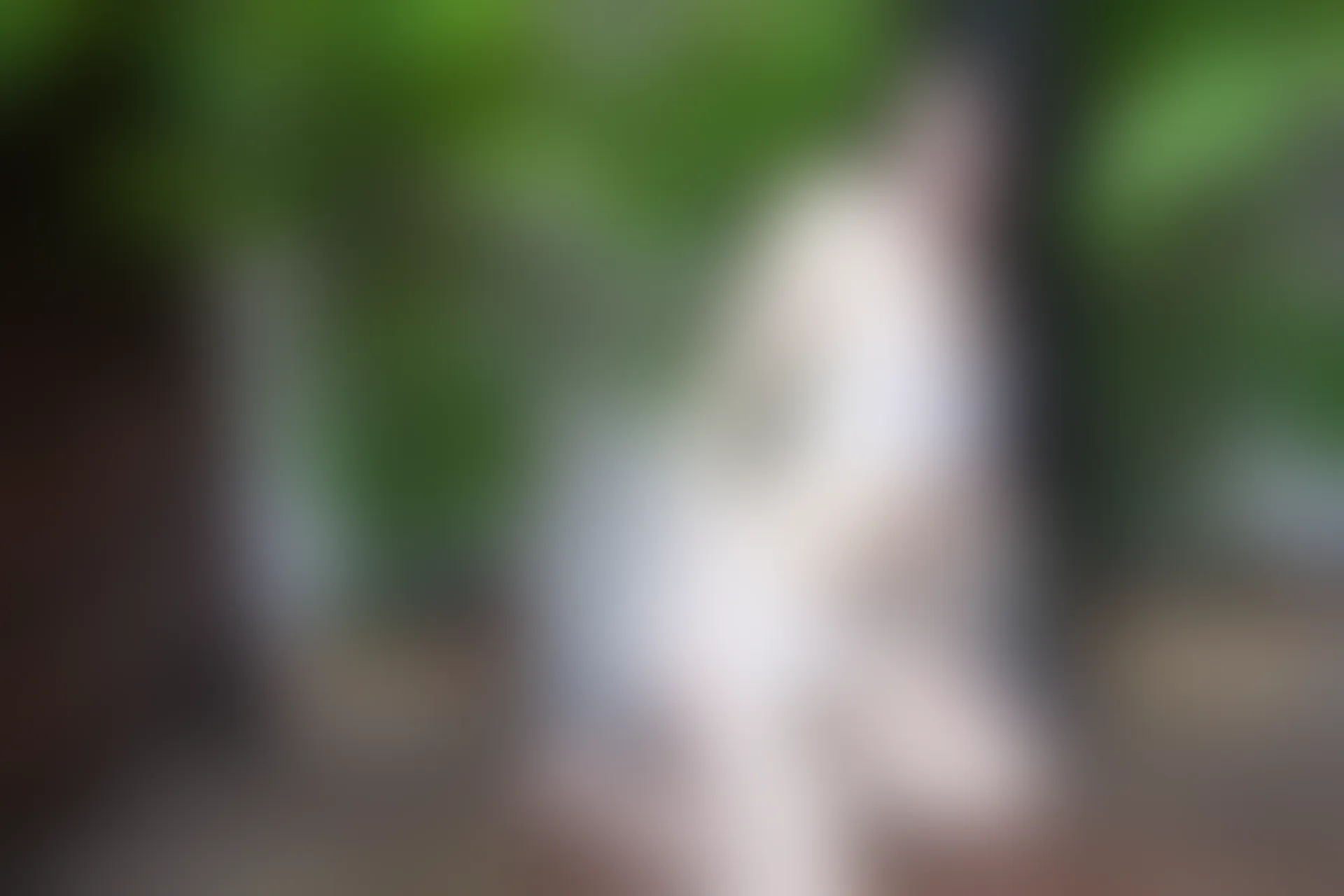 XiuRen秀人网 2014.06.04 No.151 南湘baby[45+1P107M]