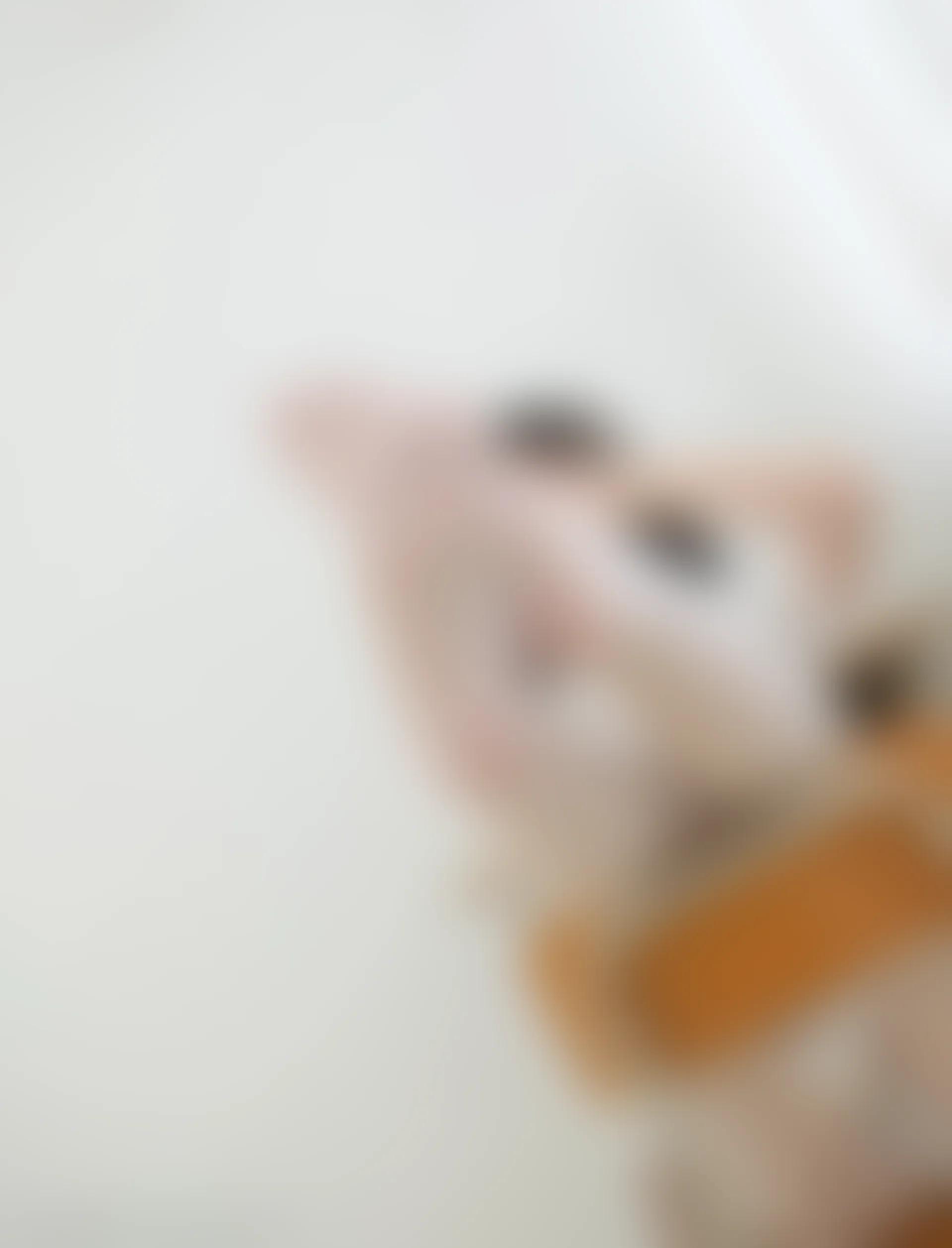 轻兰映画 HANA.002 可爱白丝JK制服 [67P-445.1MB]JK制服, 可爱, 白丝, 美腿, 美足, 轻兰映画