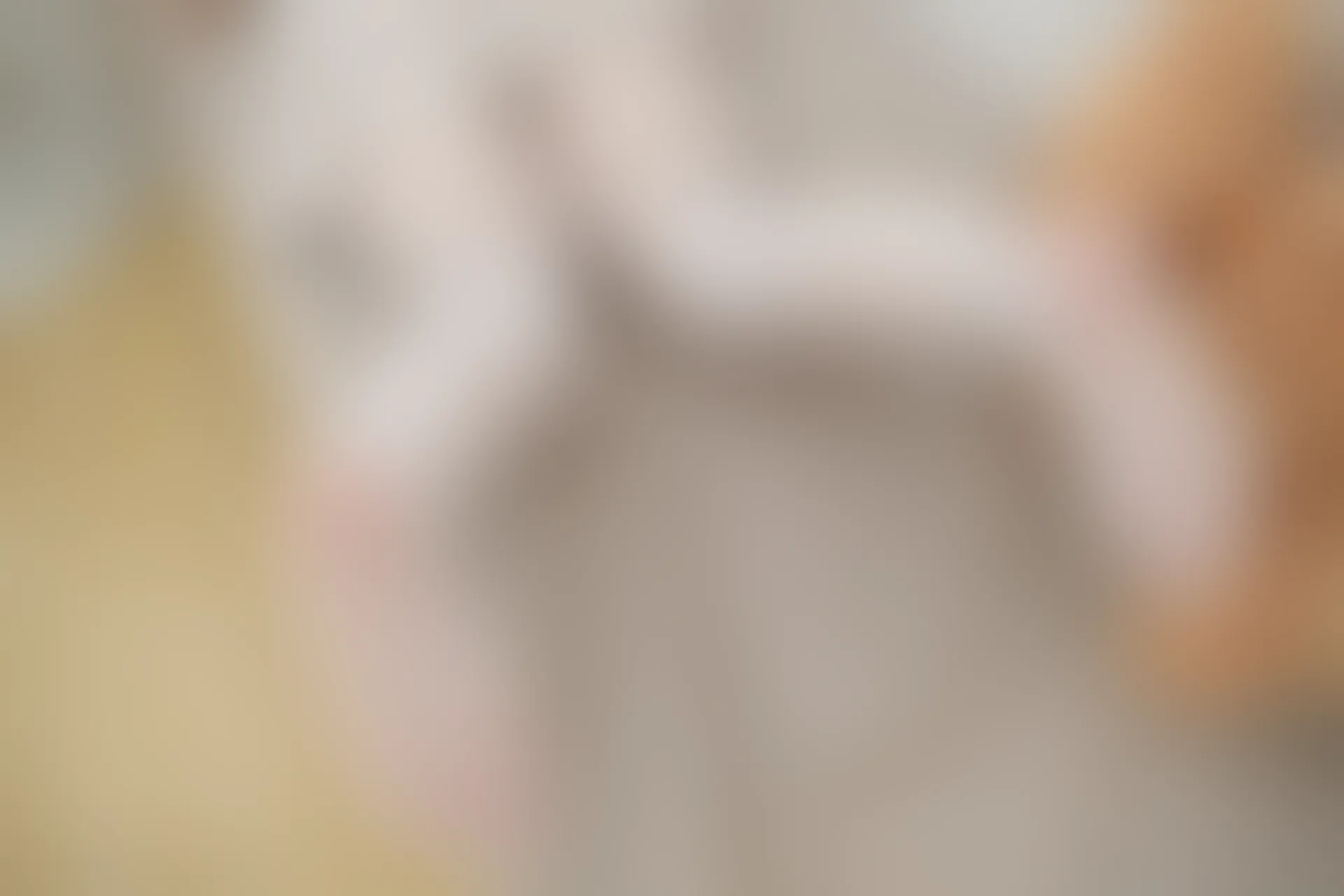 轻兰映画 HANA.002 可爱白丝JK制服 [67P-445.1MB]JK制服, 可爱, 白丝, 美腿, 美足, 轻兰映画