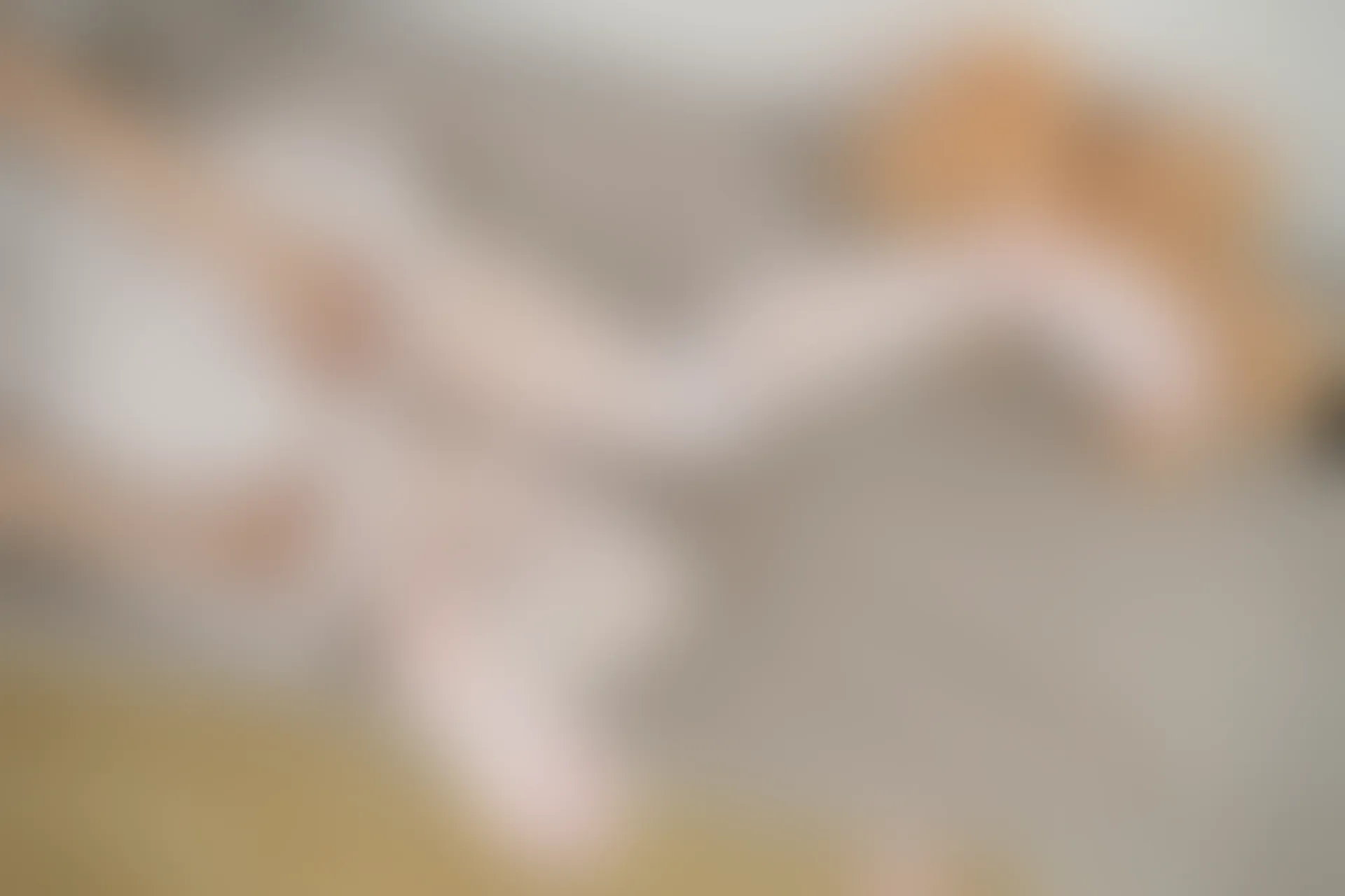 轻兰映画 HANA.002 可爱白丝JK制服 [67P-445.1MB]JK制服, 可爱, 白丝, 美腿, 美足, 轻兰映画