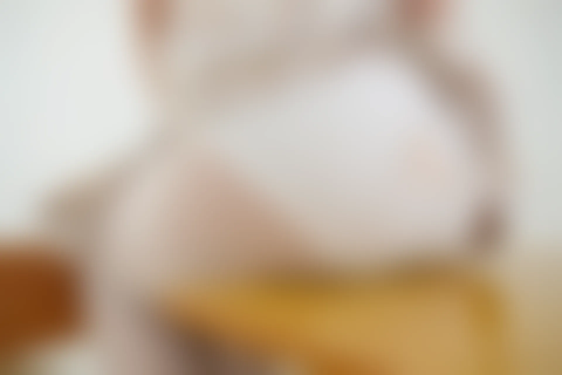 轻兰映画 HANA.002 可爱白丝JK制服 [67P-445.1MB]JK制服, 可爱, 白丝, 美腿, 美足, 轻兰映画