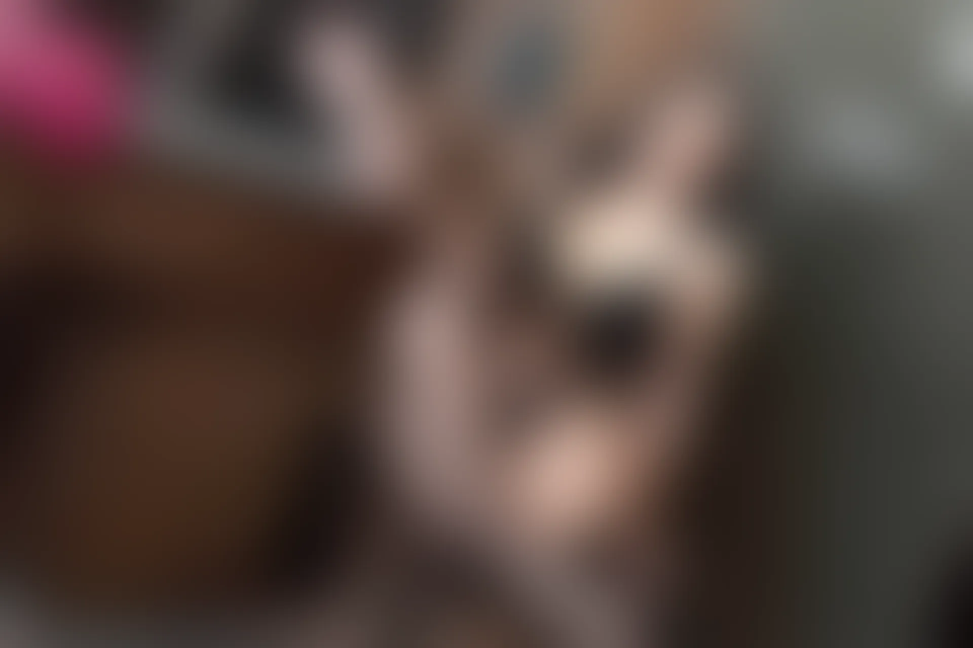 XIUREN秀人网 2023.12.08 NO.7787 周于希Sally[109+1P／0.98GB]