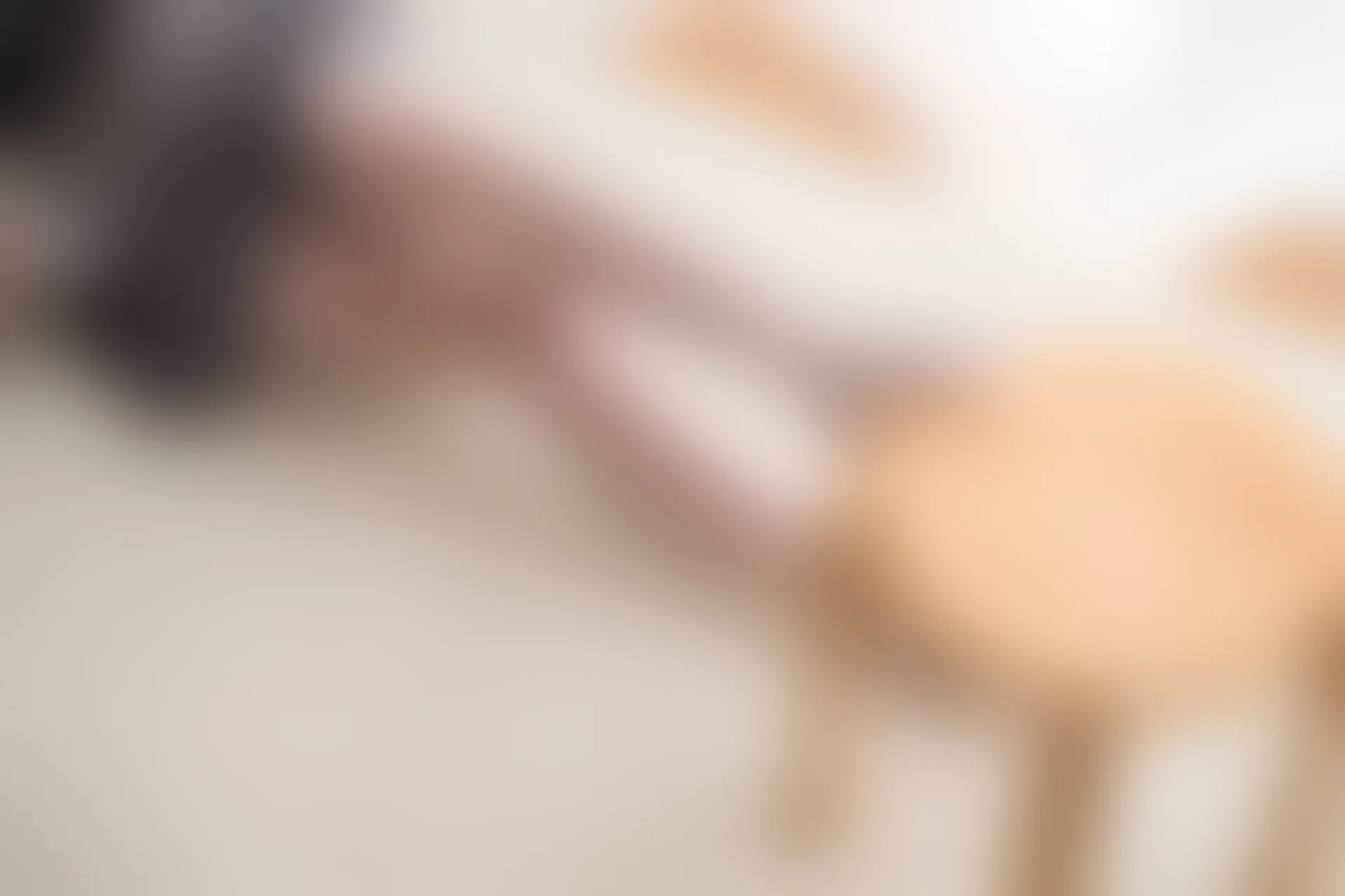 喵写真 VOL-021 [80P-350M]可爱, 喵写真, 白丝, 美腿