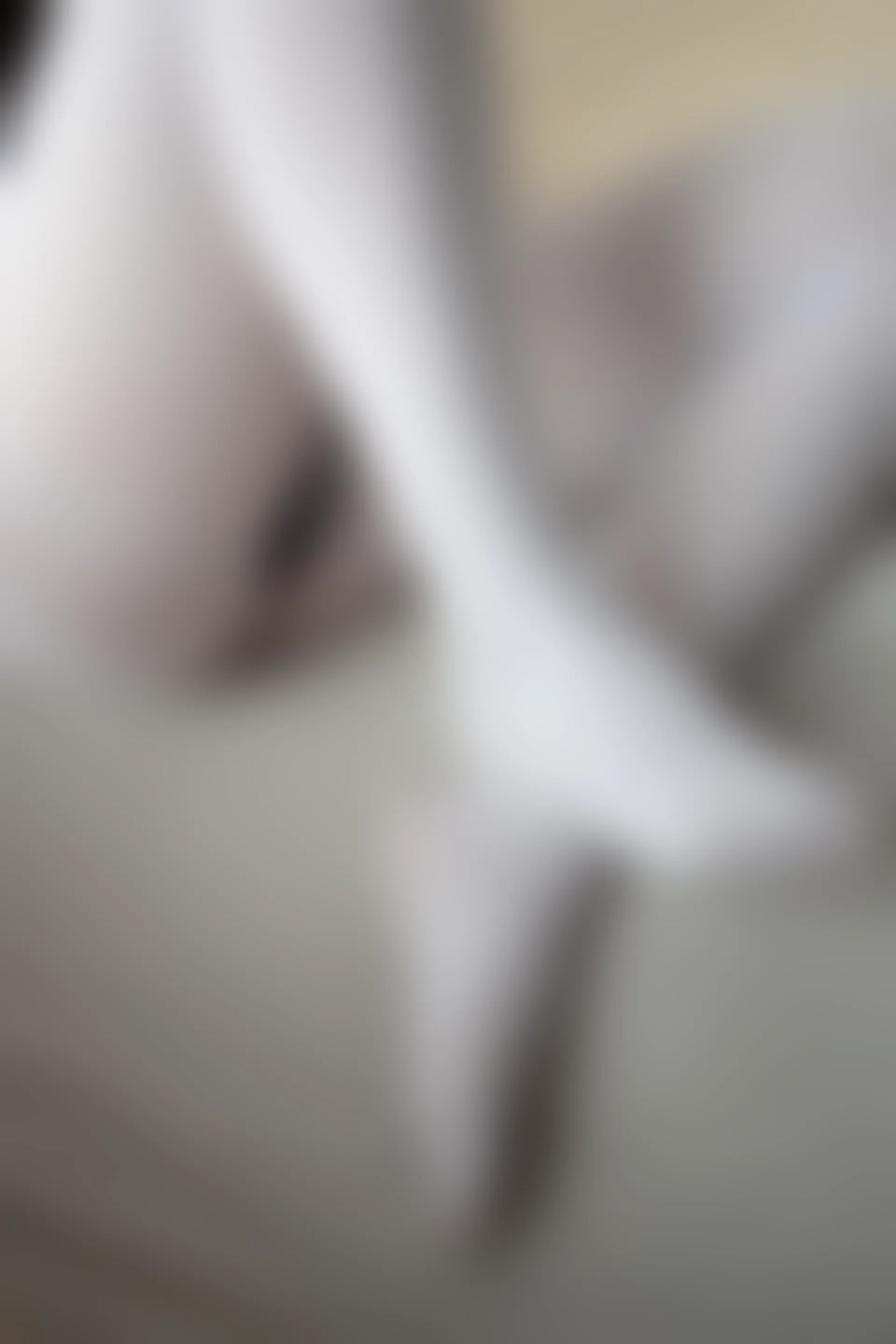 森萝财团 X-056 [91P1V-2.38G]可爱, 森萝财团, 白丝, 美腿