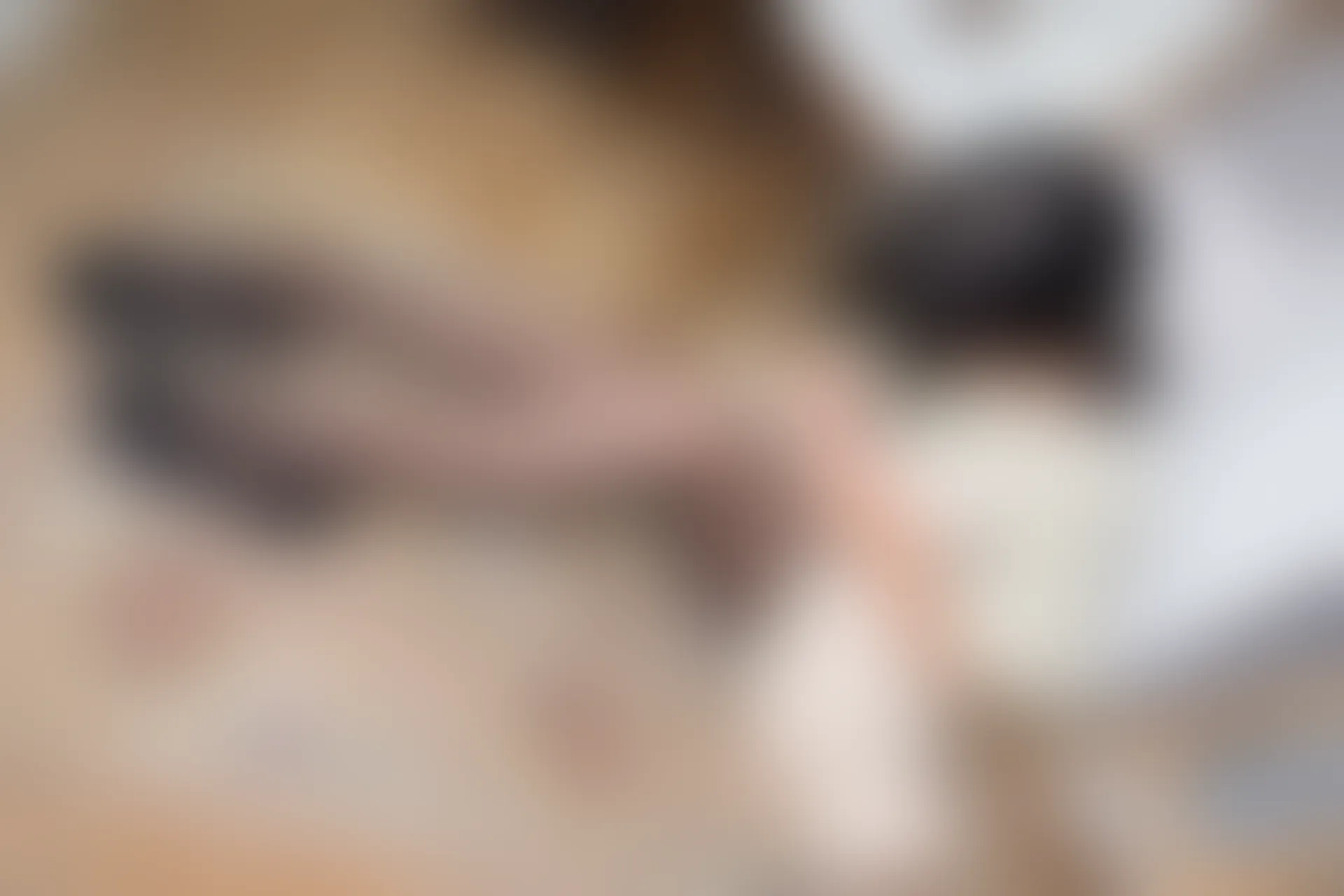 森萝财团 R15-041 [140P-1.03G]可爱, 女仆装, 森萝财团, 美腿, 黑丝