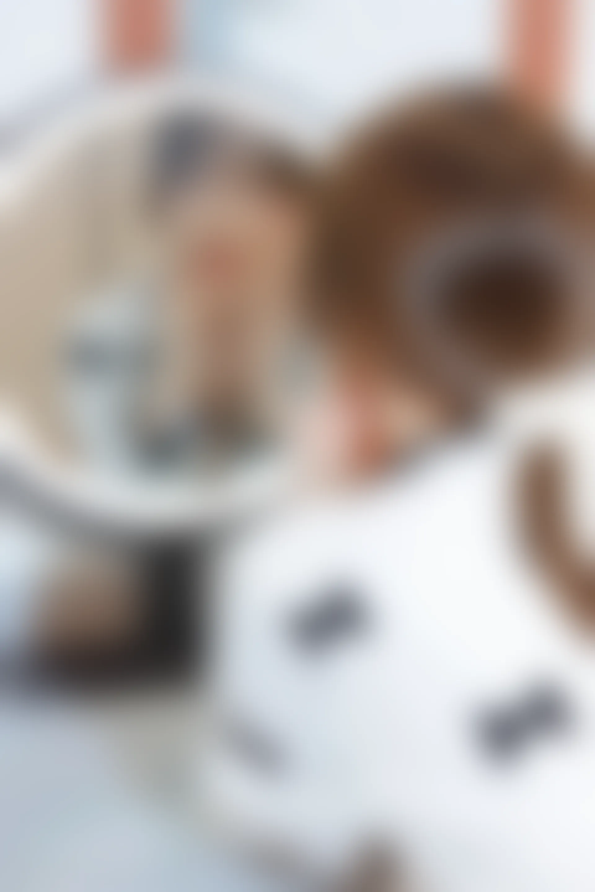 XiuRen秀人网 2021.12.21 No.4365 美桃酱 清纯甜美[81+1P 763MB]