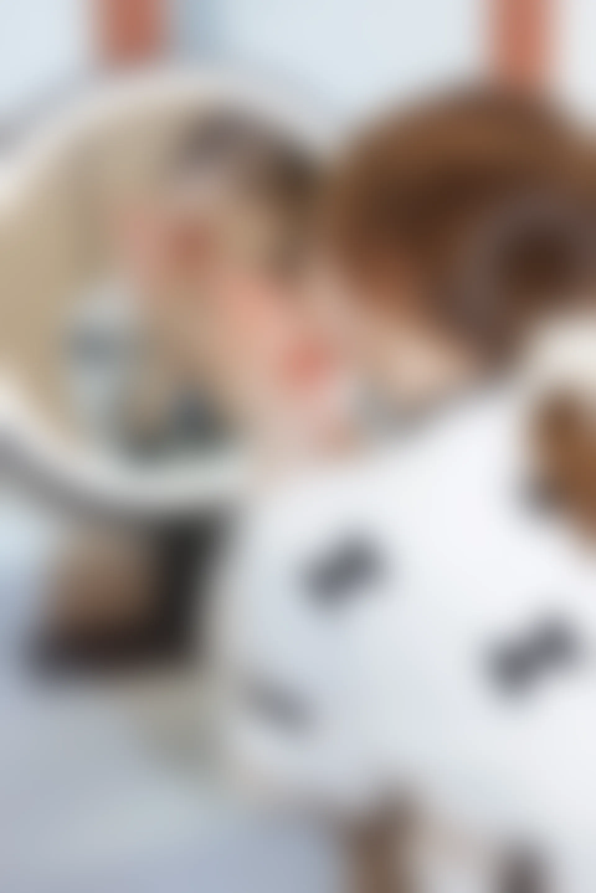 XiuRen秀人网 2021.12.21 No.4365 美桃酱 清纯甜美[81+1P 763MB]