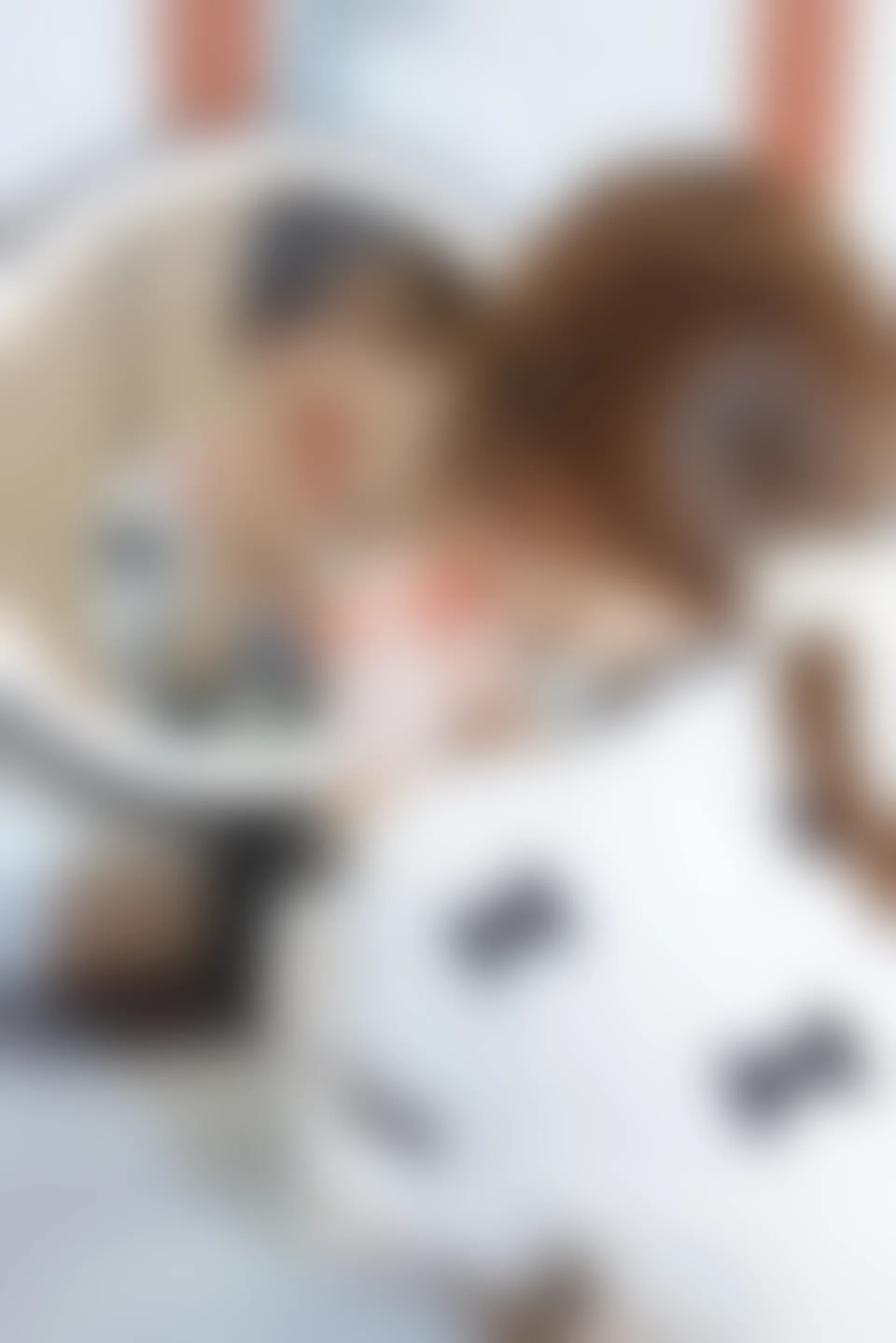 XiuRen秀人网 2021.12.21 No.4365 美桃酱 清纯甜美[81+1P 763MB]