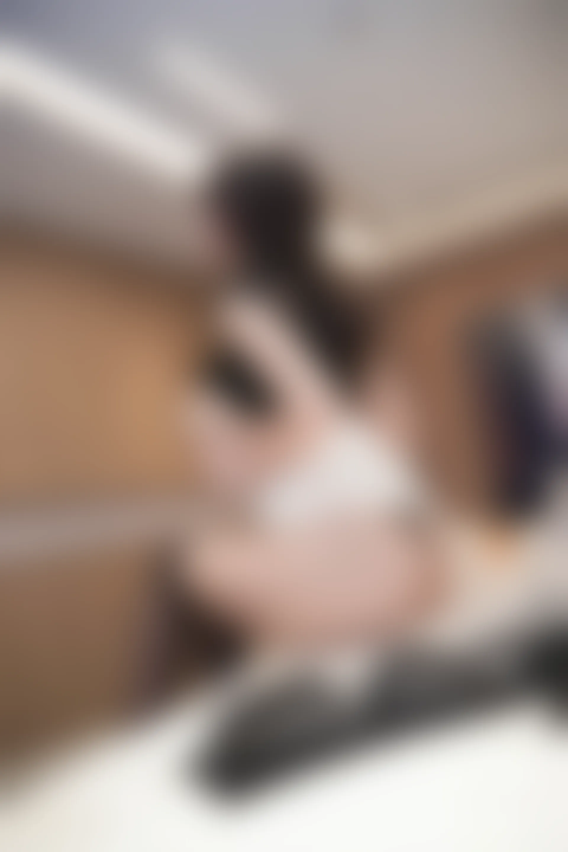 XIUREN秀人网 2023.12.11 NO.7792 Carol周妍希[81+1P／796MB]