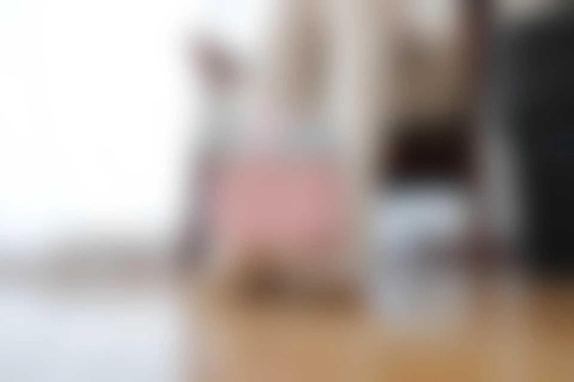 喵写真 VOL-022 [95P-479M] 标签：可爱, 喵写真, 学生装, 白丝, 美腿