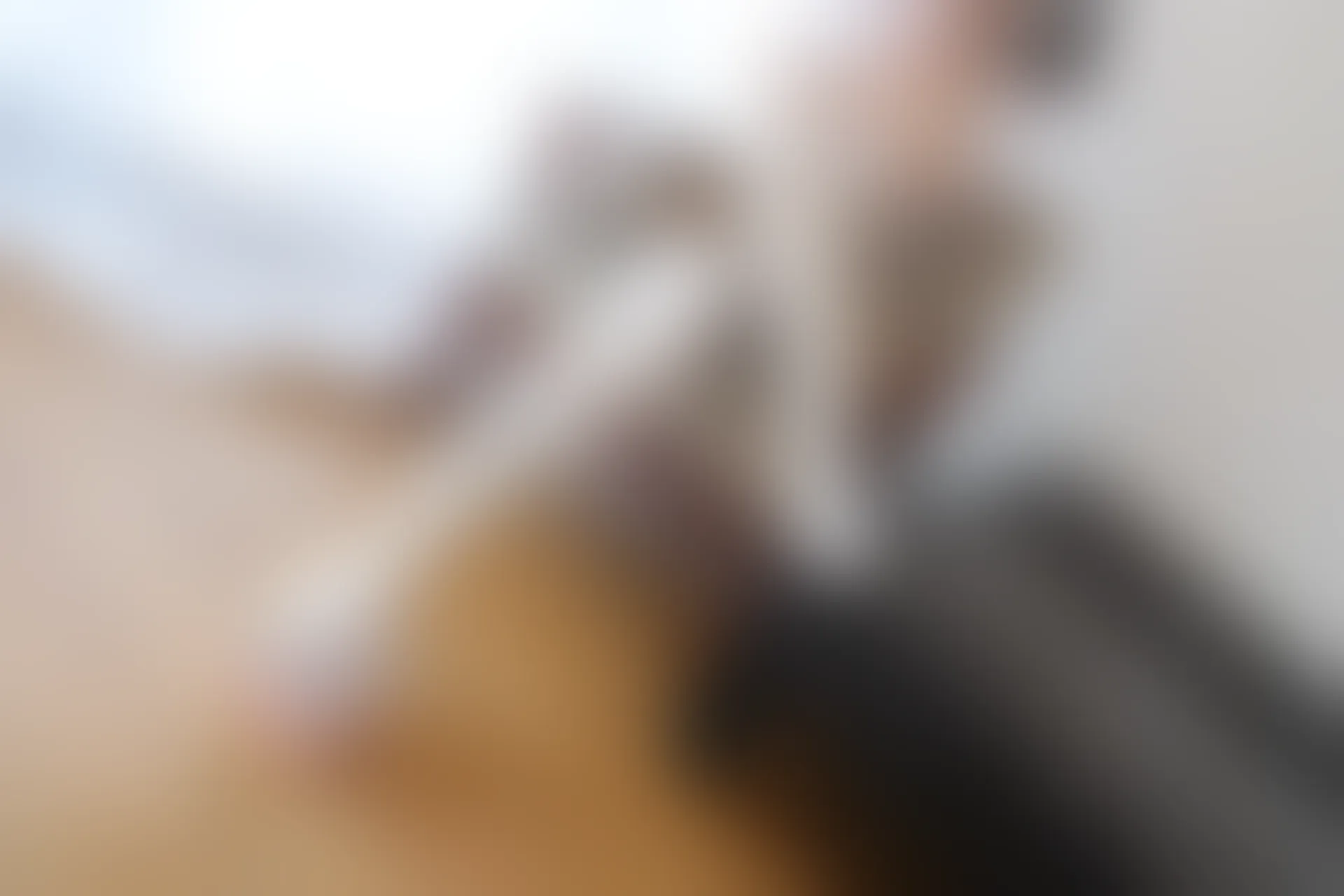 喵写真 VOL-022 [95P-479M] 标签：可爱, 喵写真, 学生装, 白丝, 美腿