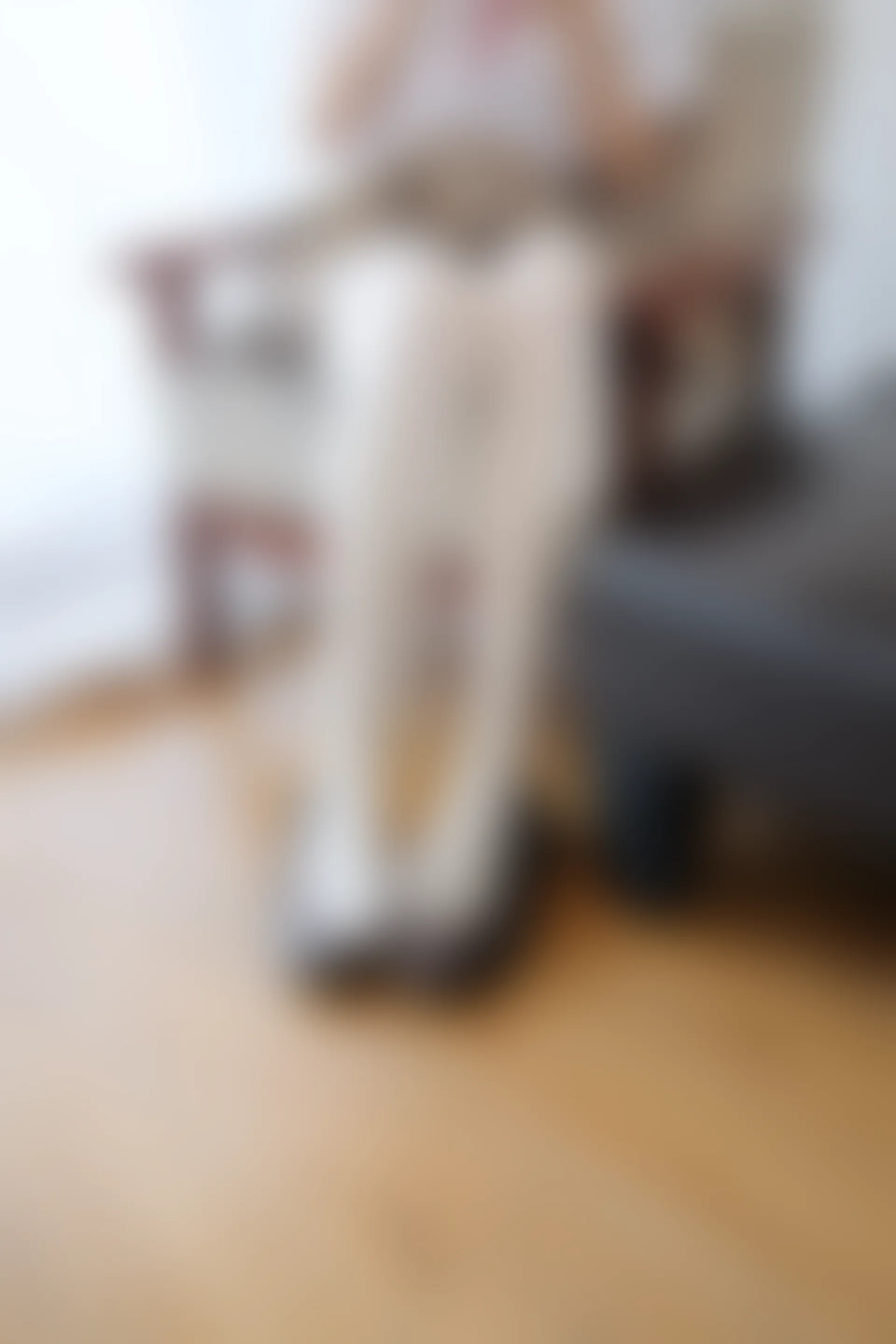 喵写真 VOL-022 [95P-479M] 标签：可爱, 喵写真, 学生装, 白丝, 美腿