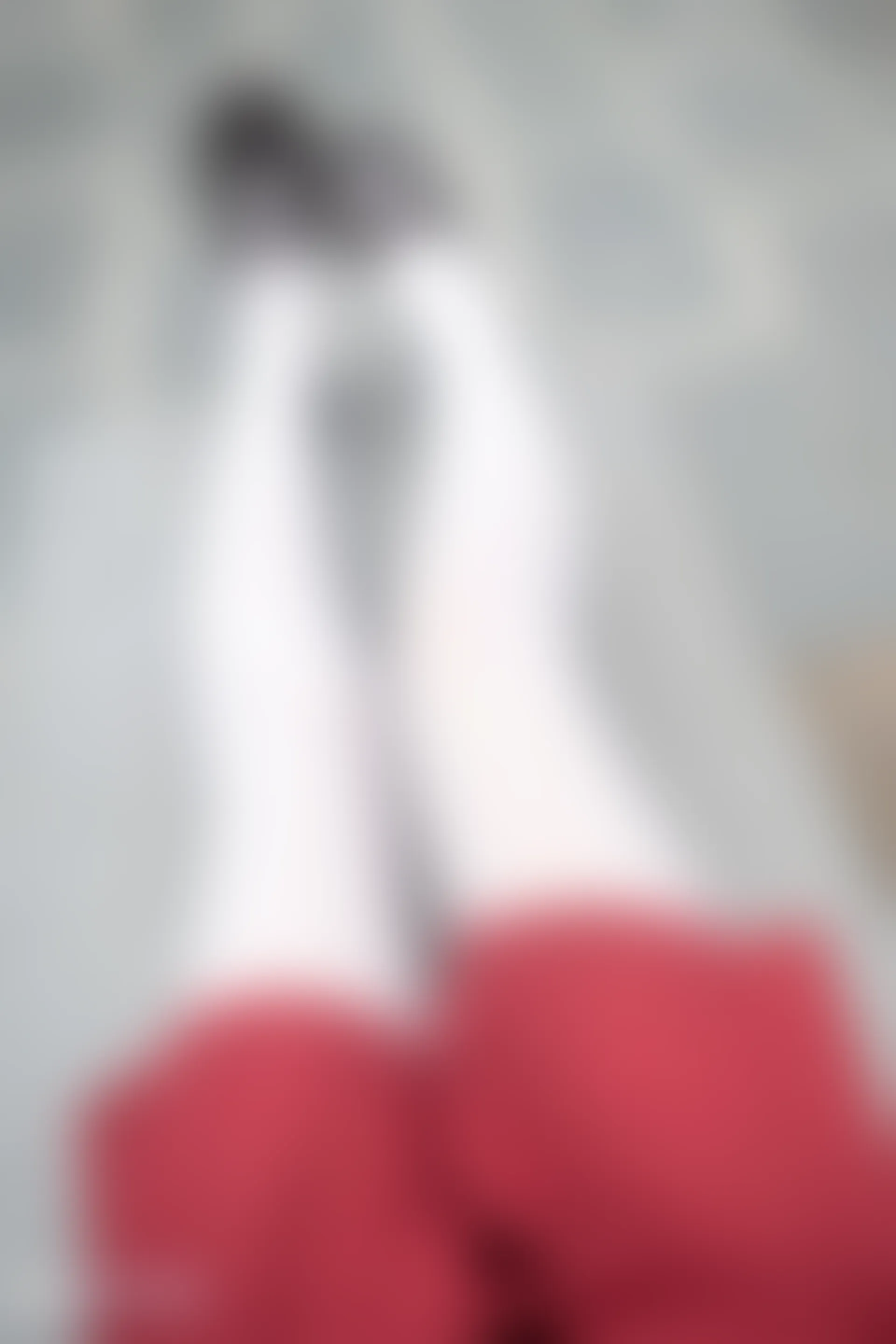 C10.004 萝莉的红裙 [40P-96MB]