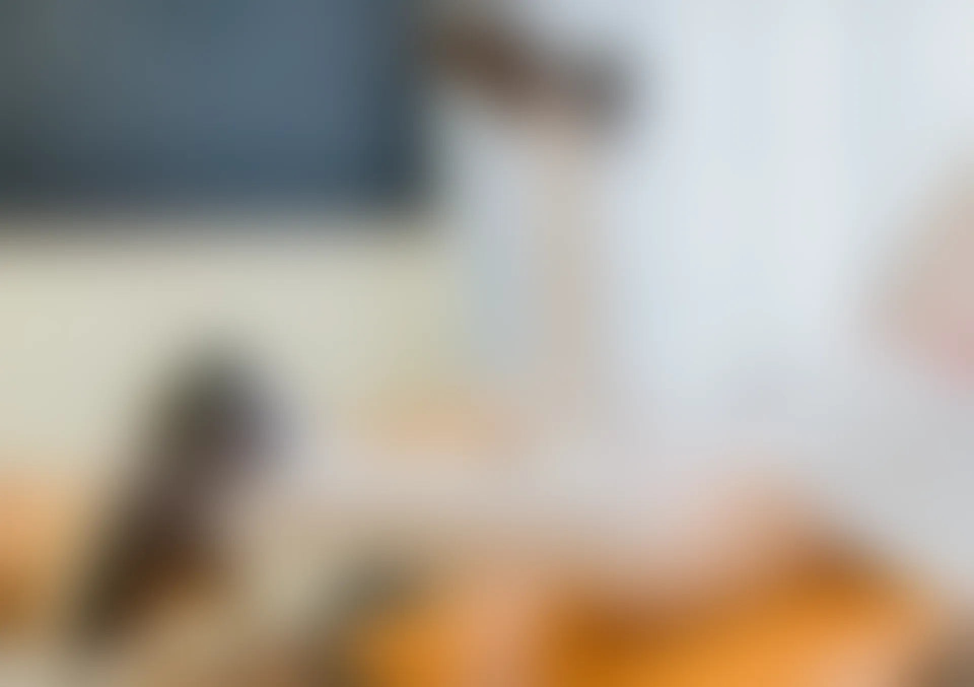 C17.007 沙耶和爱宕兔女郎 [39P-434MB]