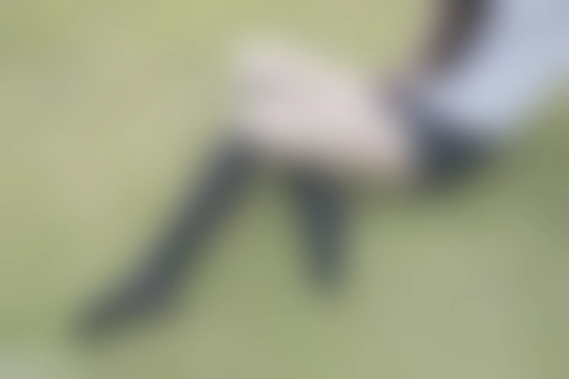 C26.002 草坪上的小细腿 [40P-116MB]