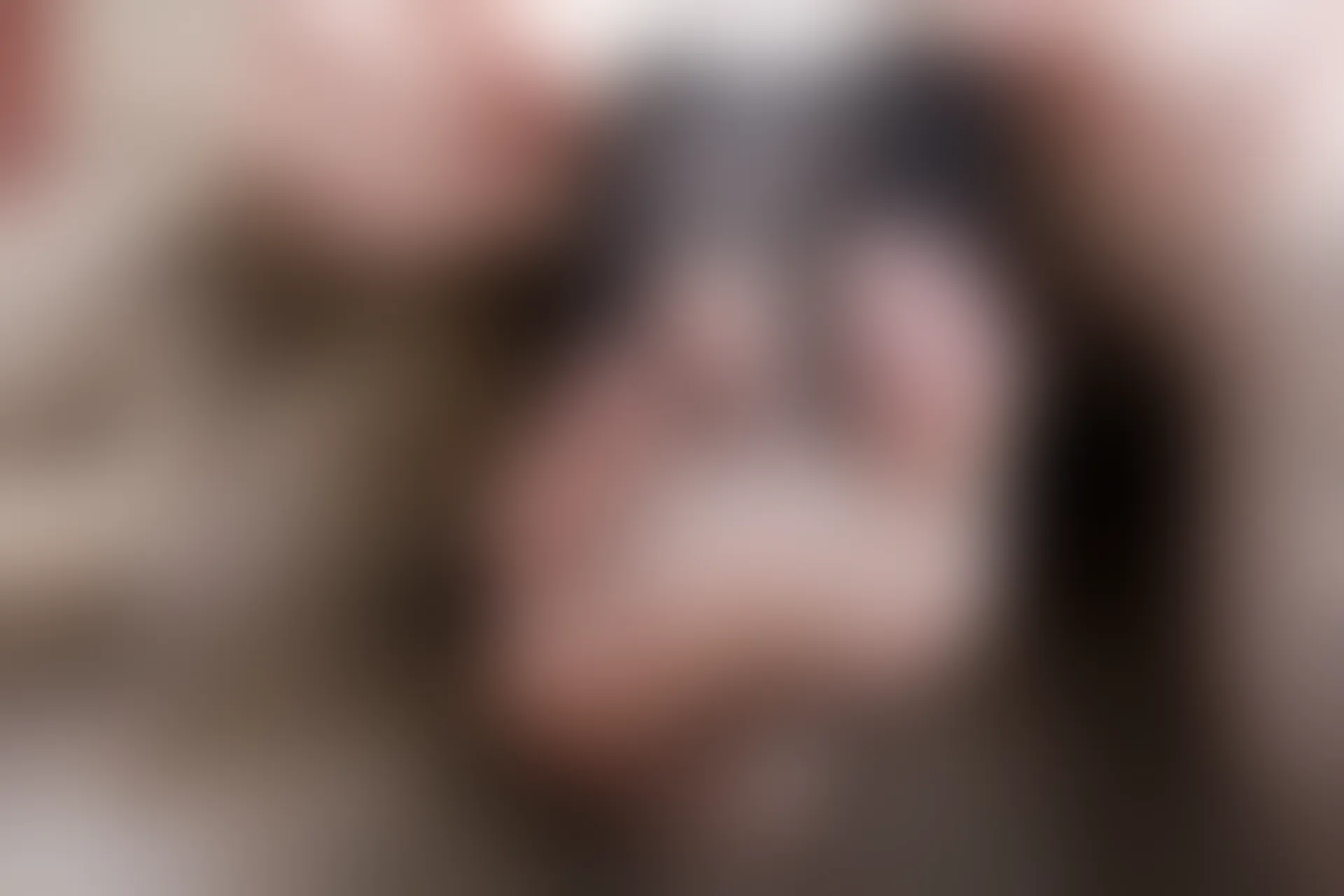 C13.001 超性感网袜 [41P-310MB]