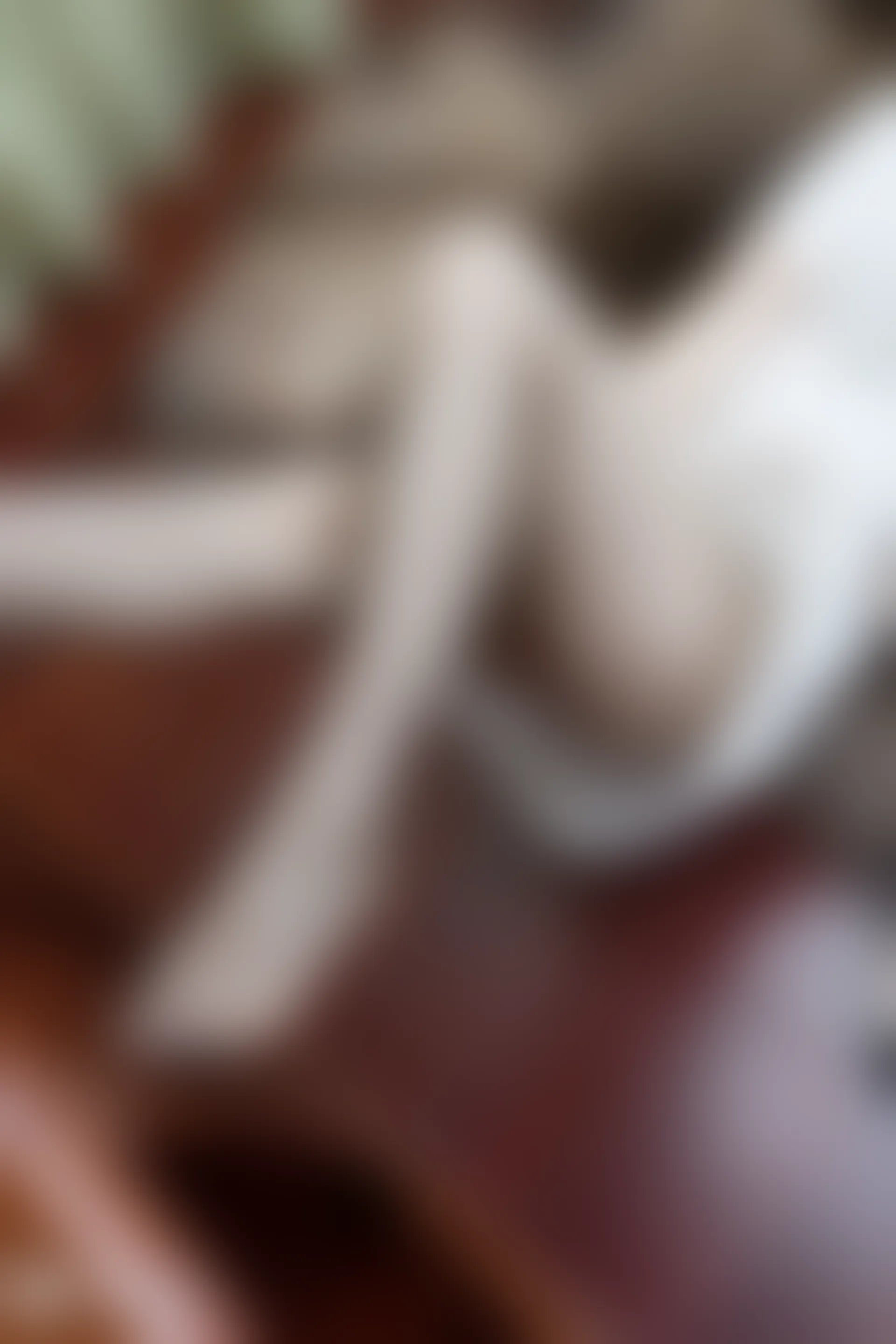 C13.001 超性感网袜 [41P-310MB]