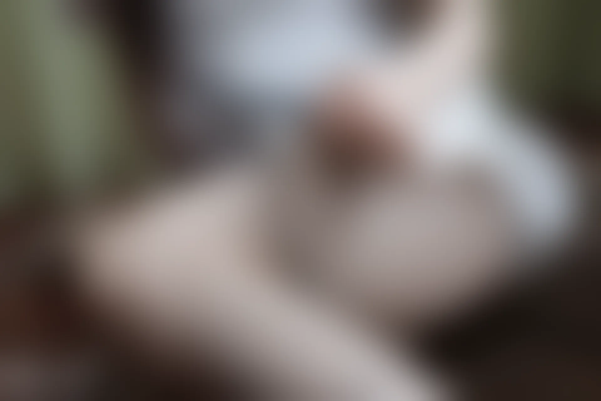 C13.001 超性感网袜 [41P-310MB]