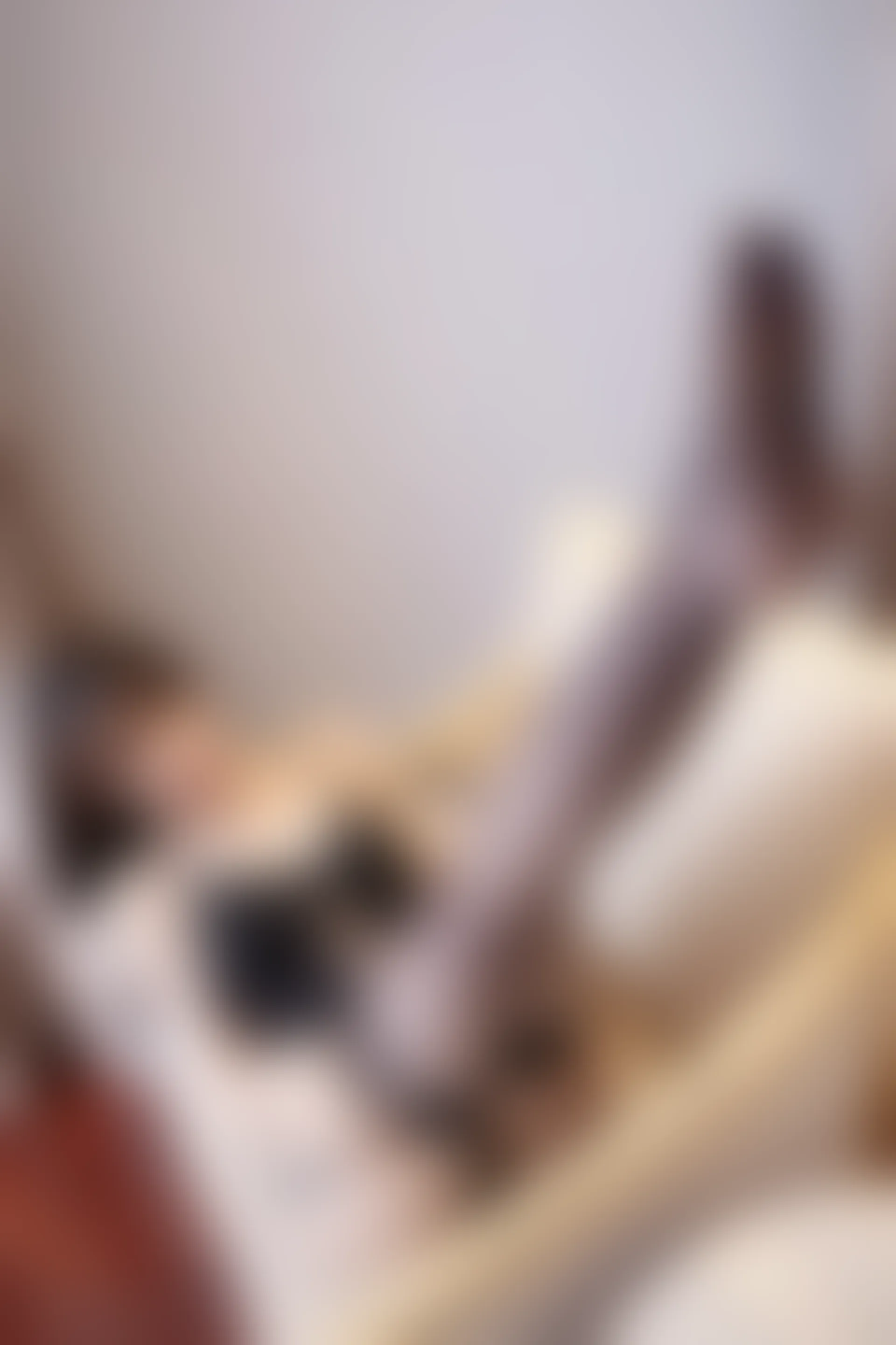 XiuRen秀人网 2022.02.25 No.4638 芝芝Booty 美腿黑丝[77+1P 765MB]