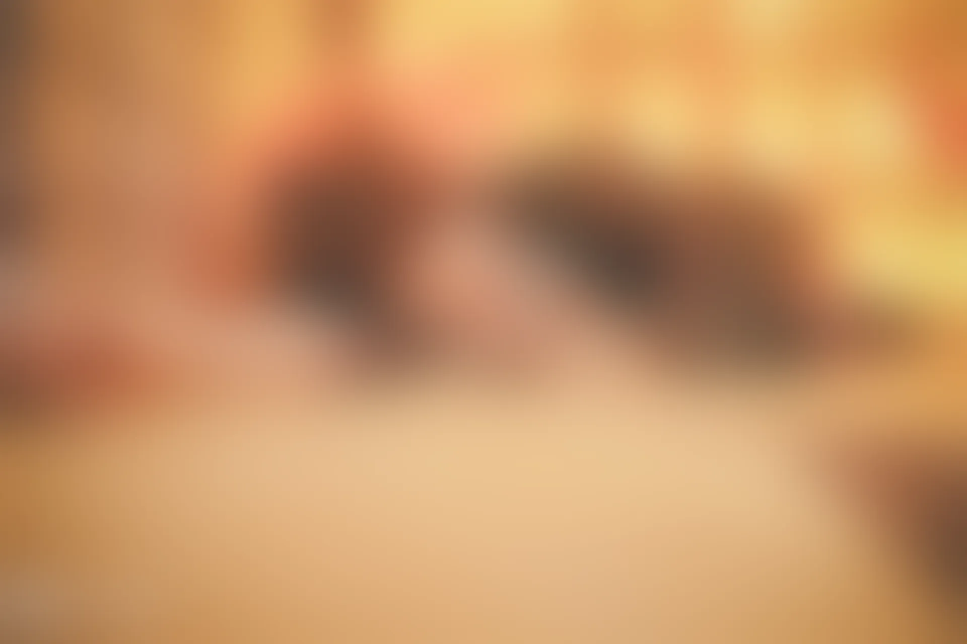 C11.004 舰b [46P-600MB]
