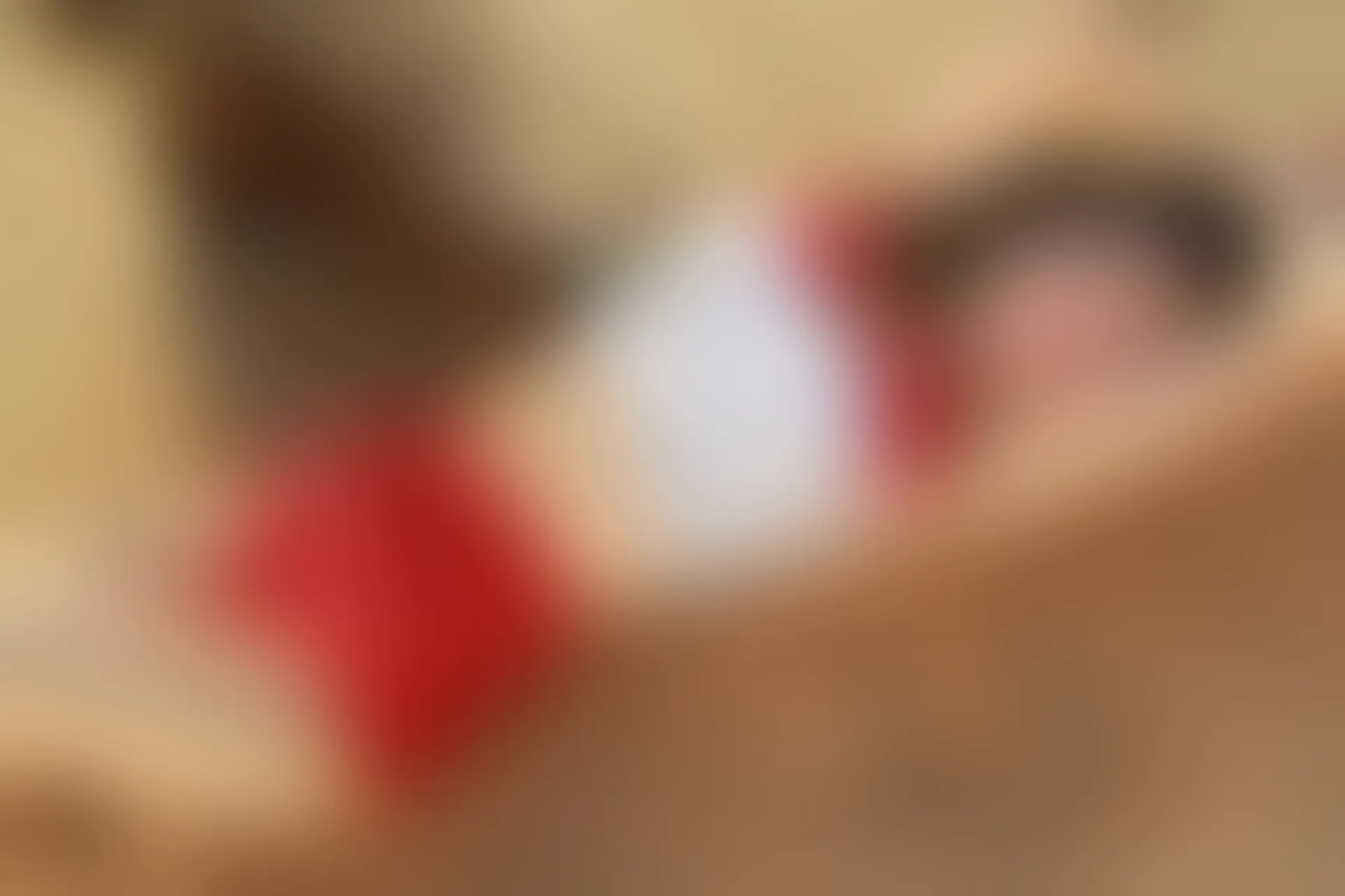 XiuRen秀人网 2015.01.01 No.267 绮里嘉ula [57P300M]