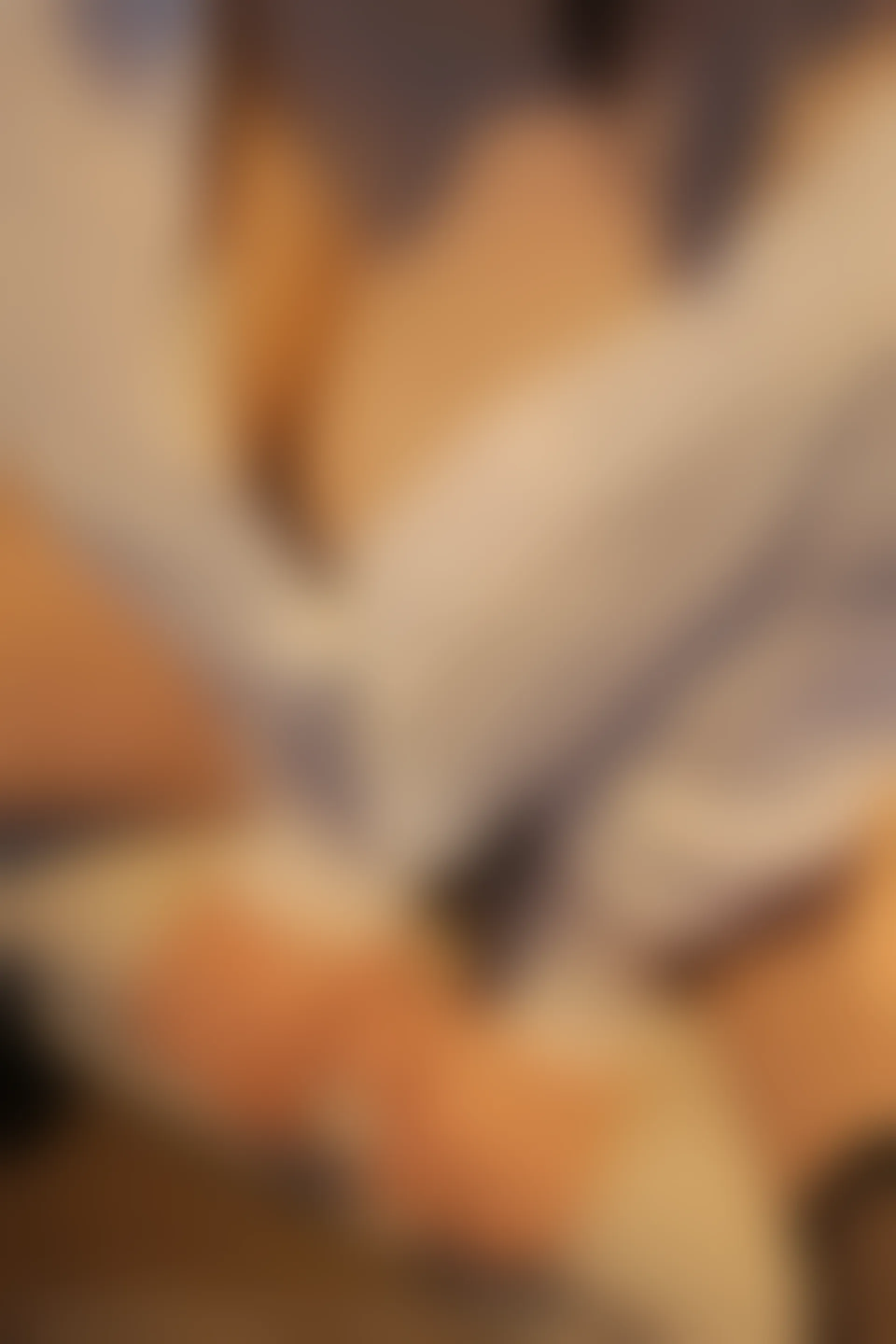 XiuRen秀人网 2022.03.18 No.4737 顾乔楠Cora 黑丝美臀[405+1P 1020MB]