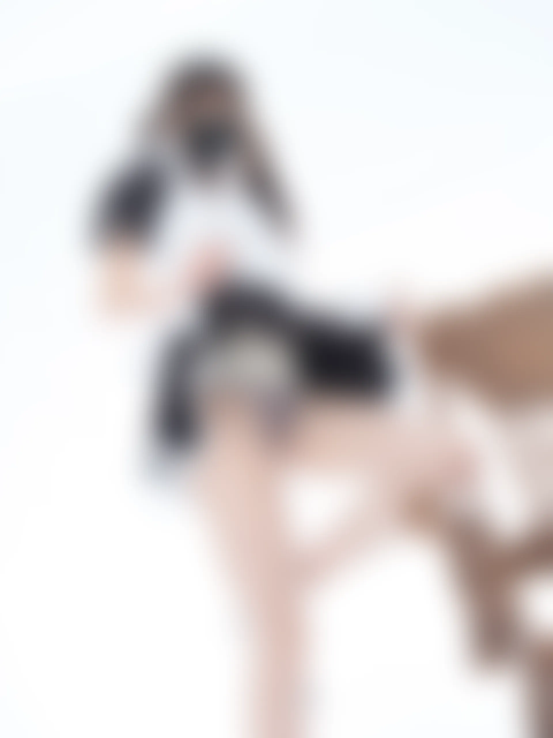 紧急企划 EX.003 见希w 双马尾白丝女仆 [46P-1.02GB]双马尾, 女仆, 白丝, 紧急企划, 美腿, 美足, 见希w