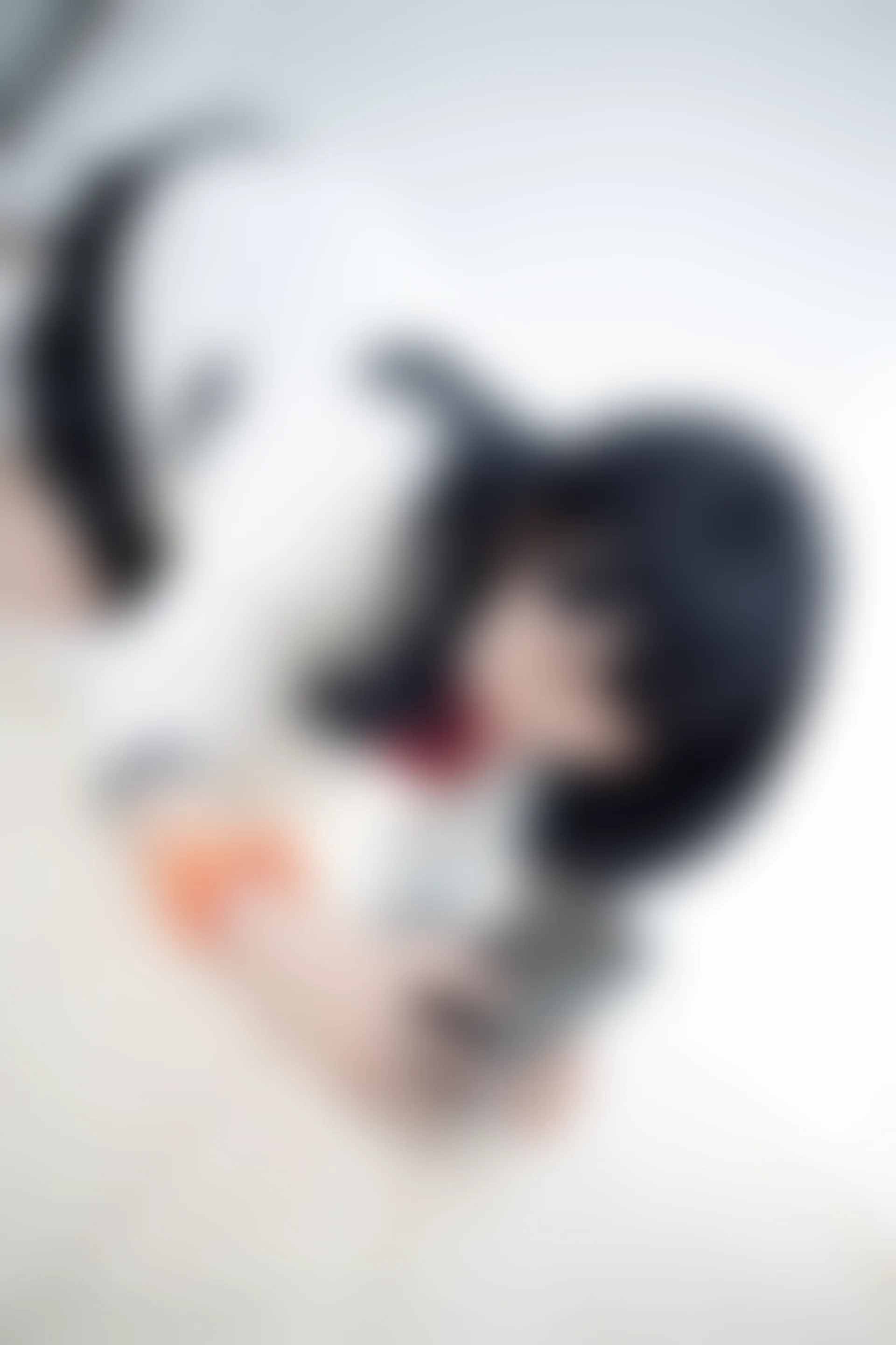 森萝财团 X-055 [93P1V-2.17G]制服, 可爱, 森萝财团, 美腿, 肉丝