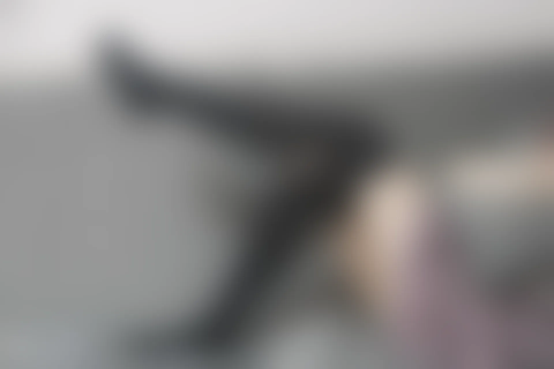C13.003 猫和少女 [42P-102MB]