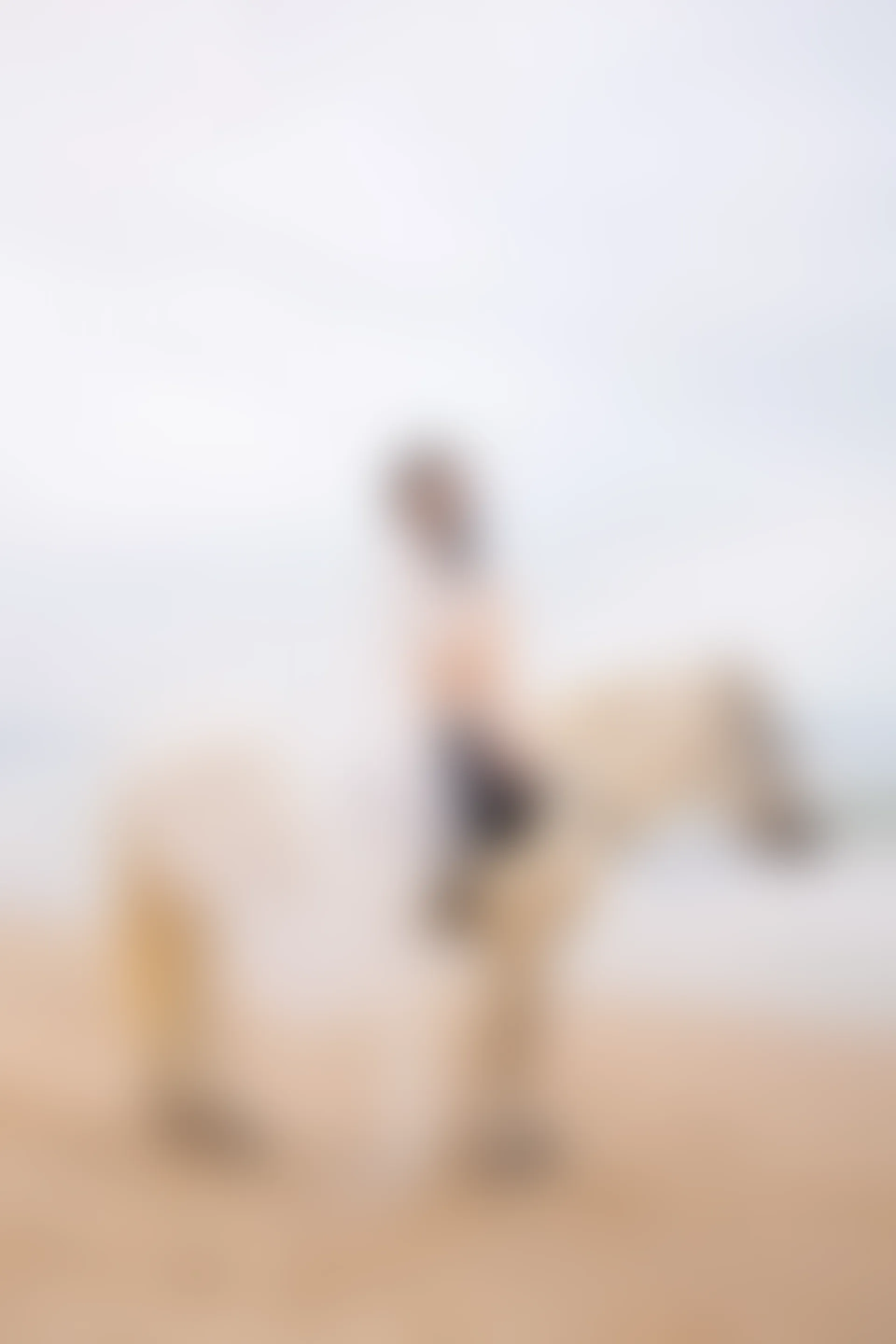 XiuRen秀人网 2022.04.07 No.4829 葛征 净高184cm 三亚旅拍 [44+1P391M]