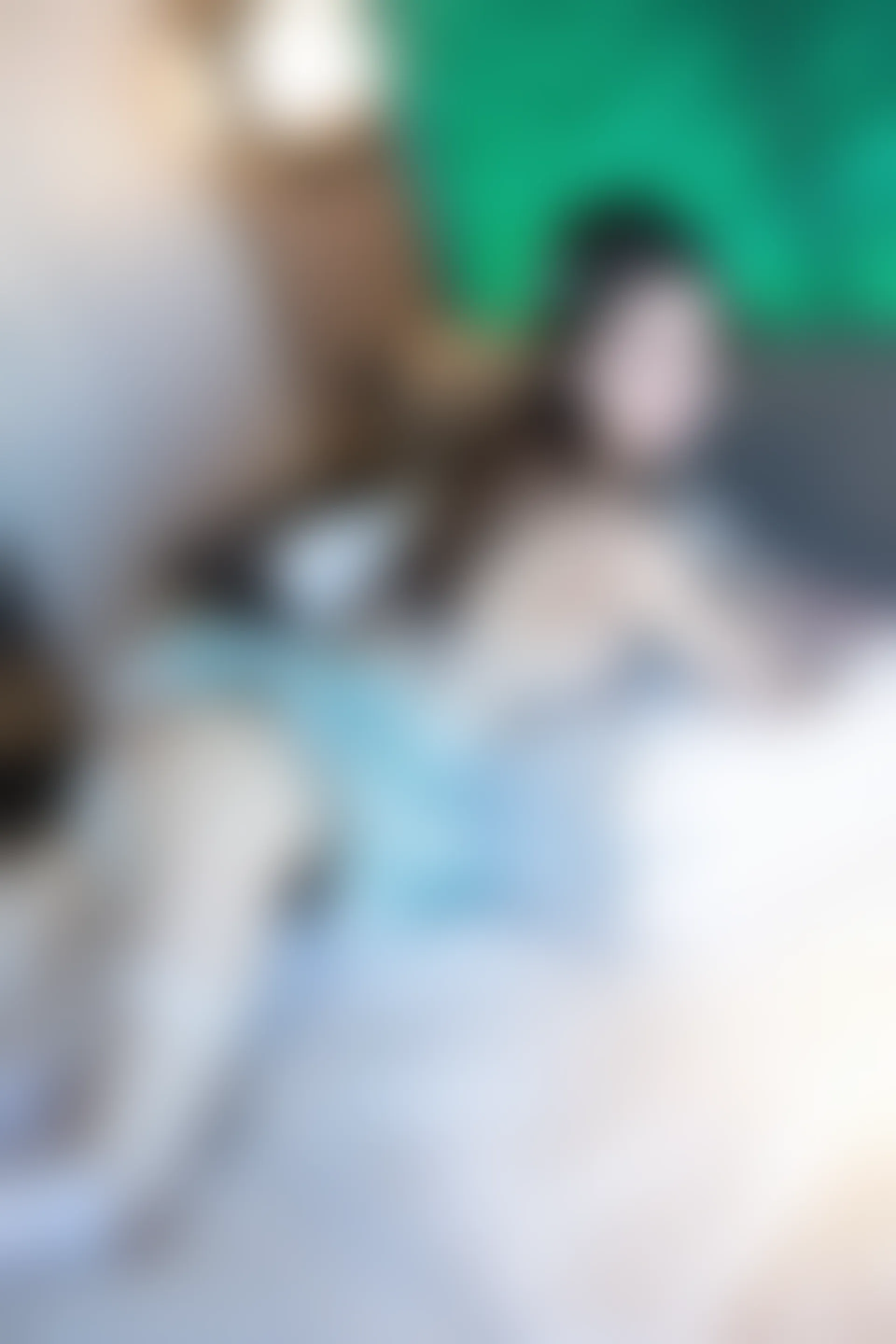 XIUREN秀人网 2024.02.19 NO.8108 林幼一[75+1P／606MB]