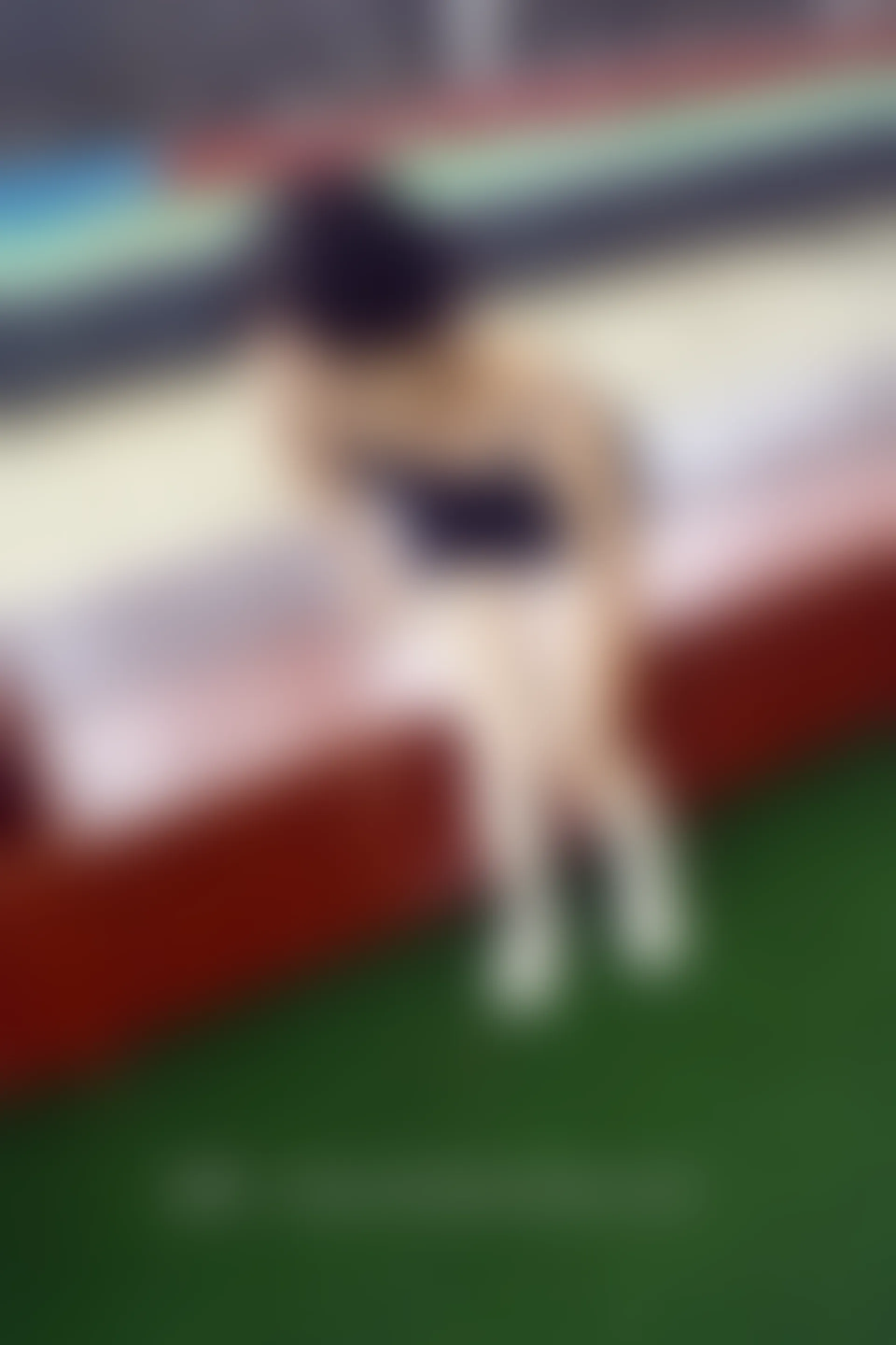 初夏女神 NO.031 双双 舞蹈练习生[200P+1V／6.32GB]