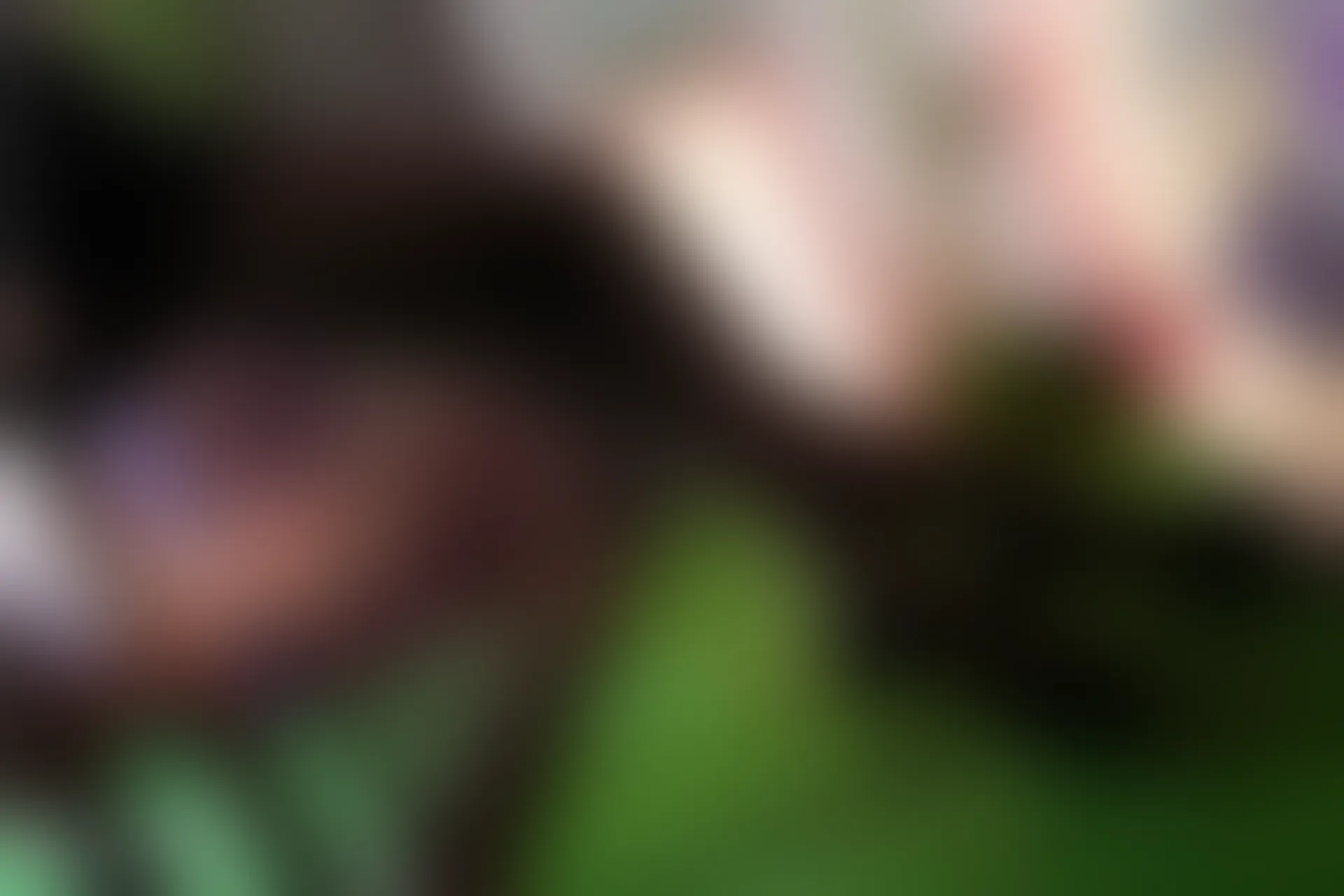 C01.002 穿黑丝牛仔裙的少女 [46P-204MB]