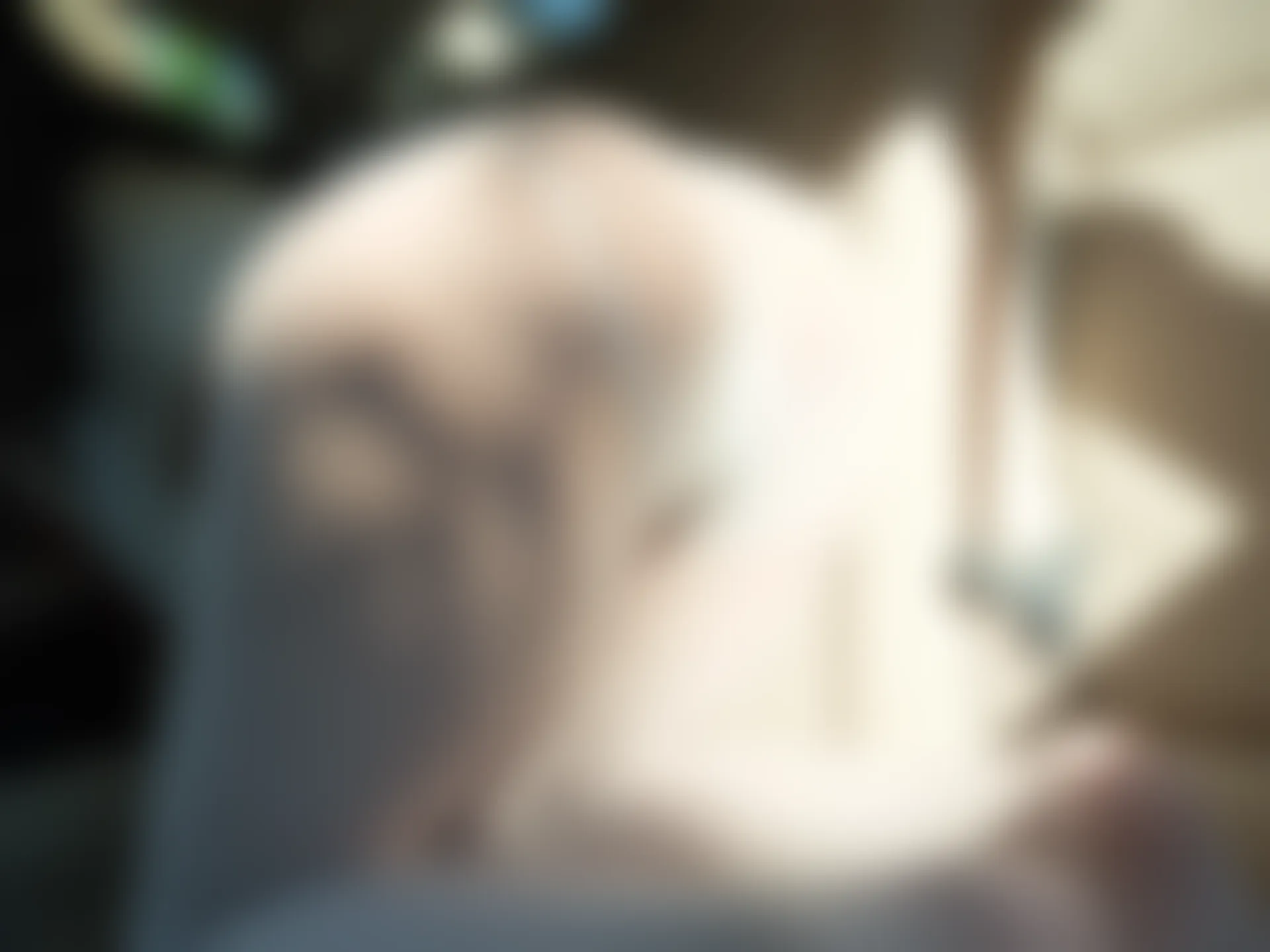 紧急企划 VOL.023 一只喵喵梓 一亿像素 车内双马尾白丝JK制服 [88P1V-4.04GB]JK制服, 一只喵喵梓, 双马尾, 白丝, 紧急企划