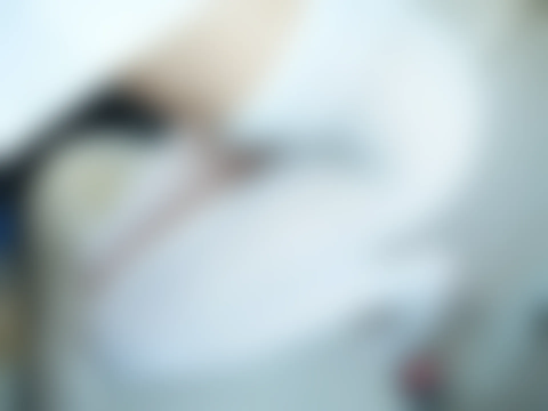 紧急企划 VOL.023 一只喵喵梓 一亿像素 车内双马尾白丝JK制服 [88P1V-4.04GB]JK制服, 一只喵喵梓, 双马尾, 白丝, 紧急企划